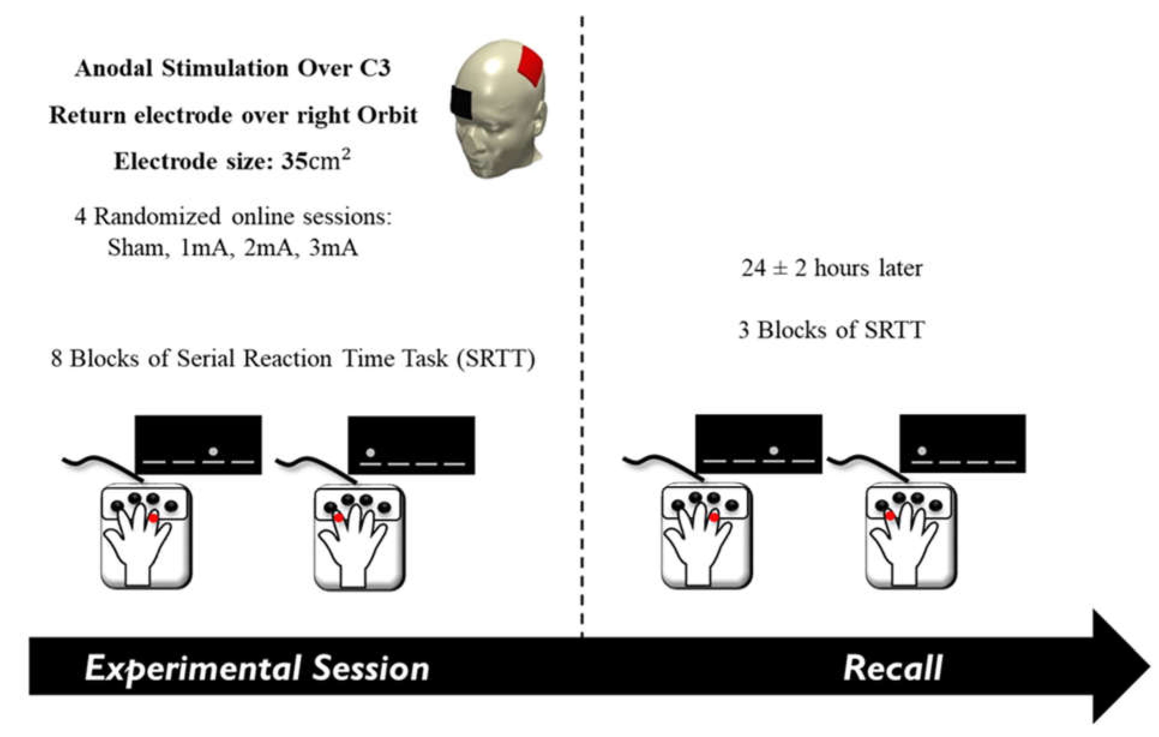 Brainsci 13 00137 g001 Brainsci 13 00137 g001