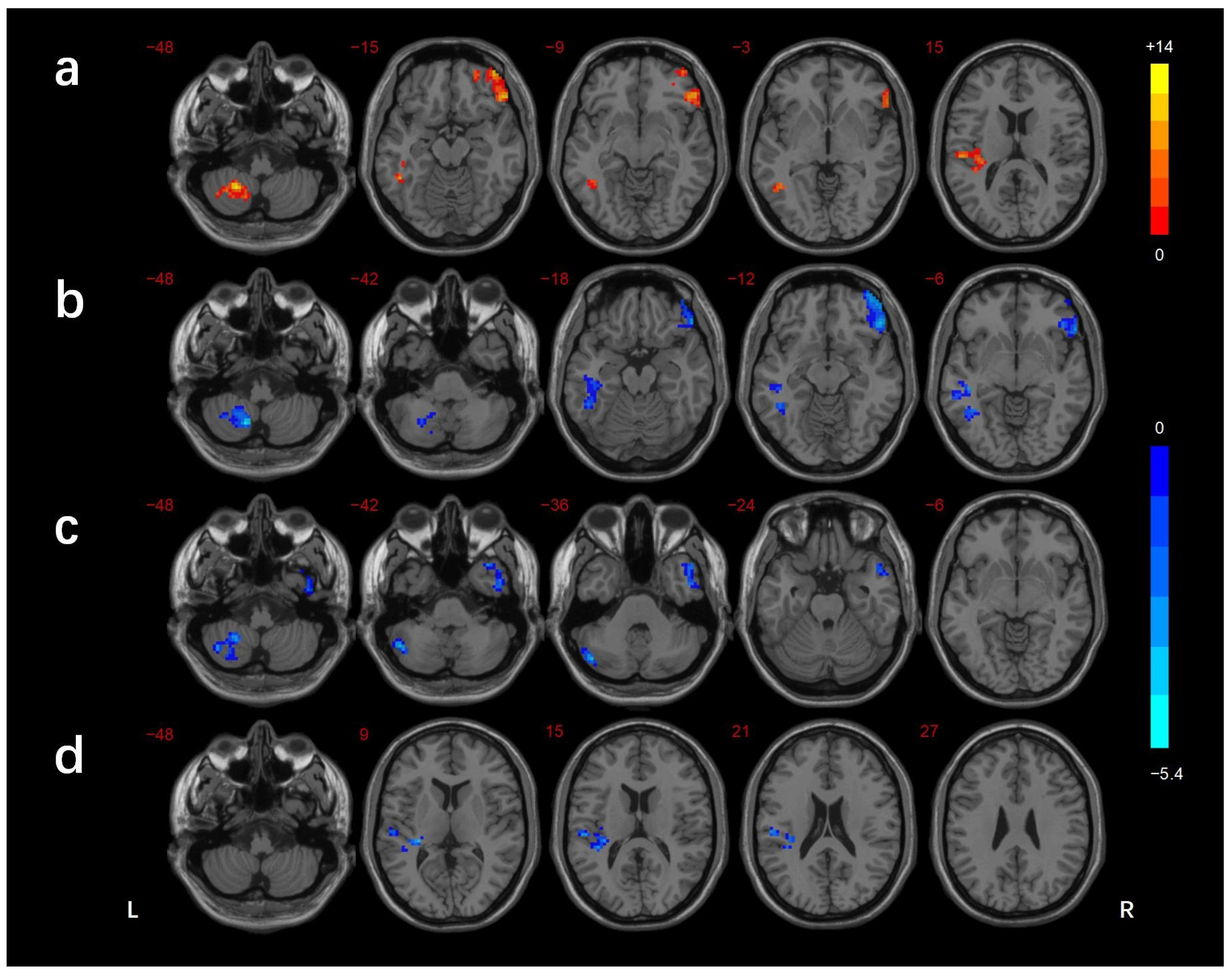 Brainsci 13 00144 g003