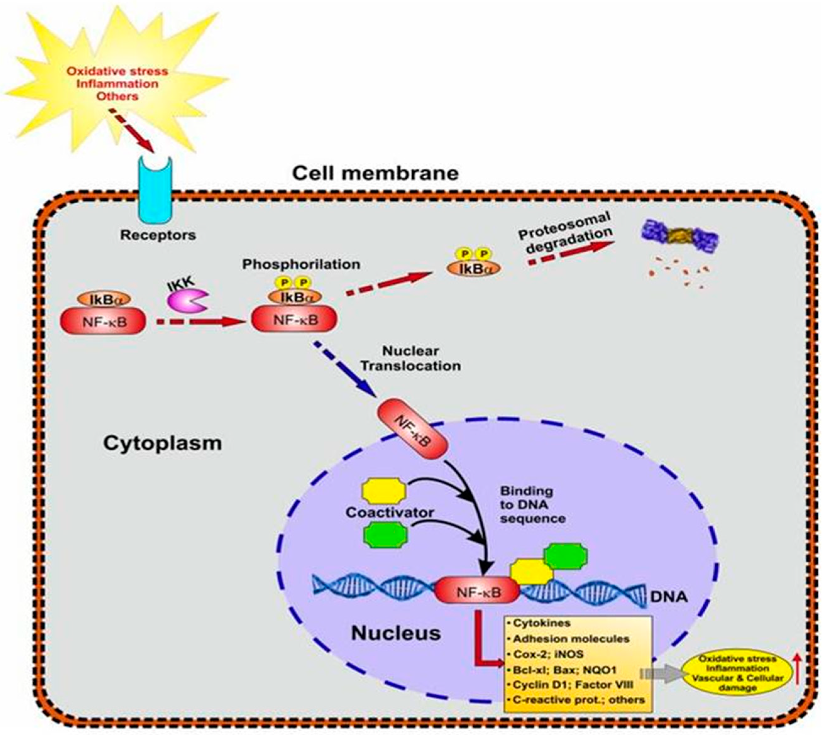 Brainsci 13 00145 g001