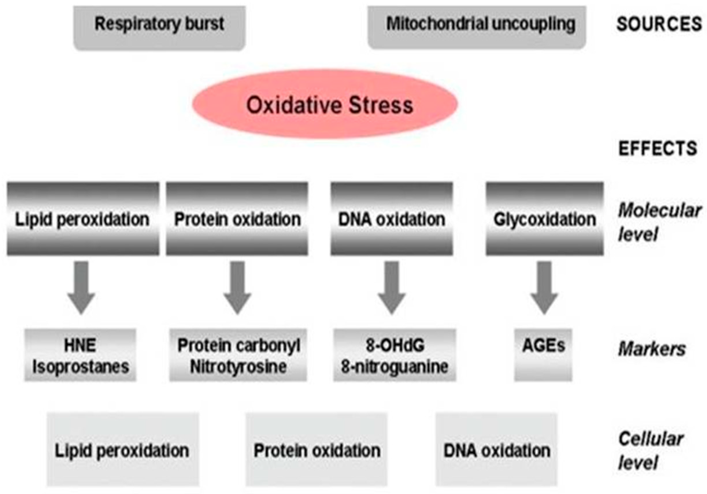 Brainsci 13 00145 g002