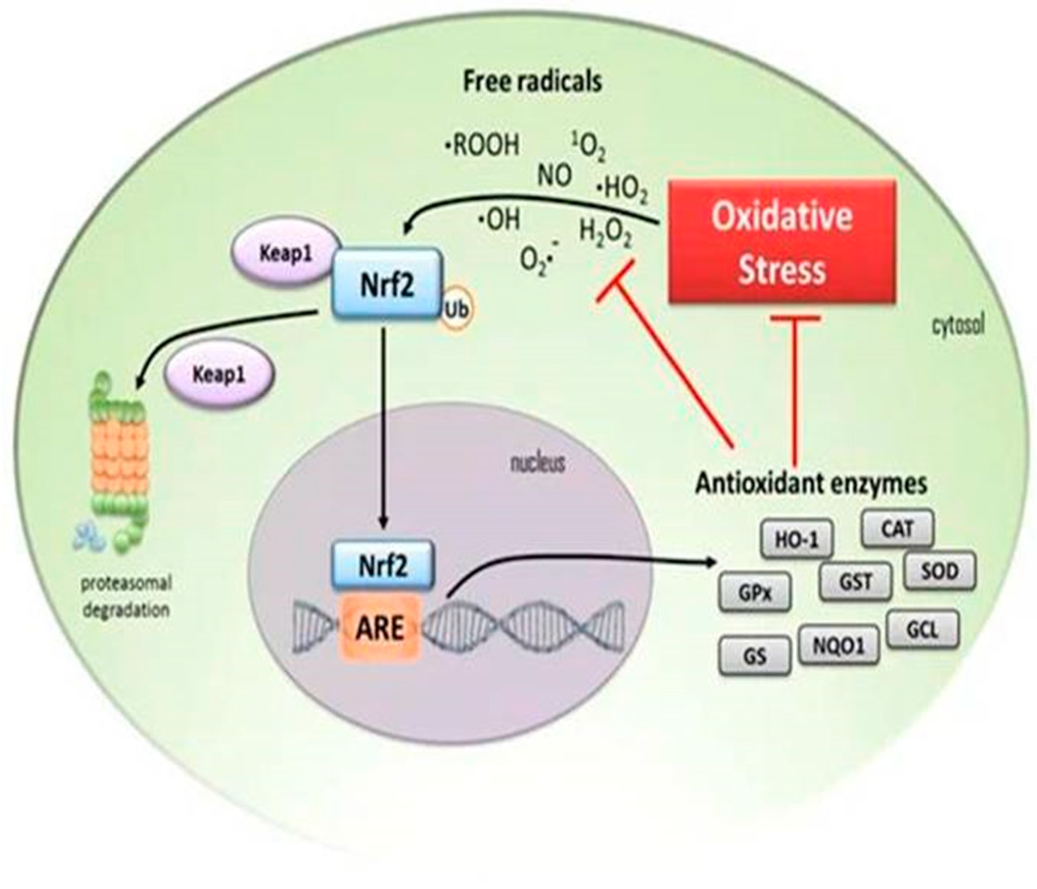 Brainsci 13 00145 g003