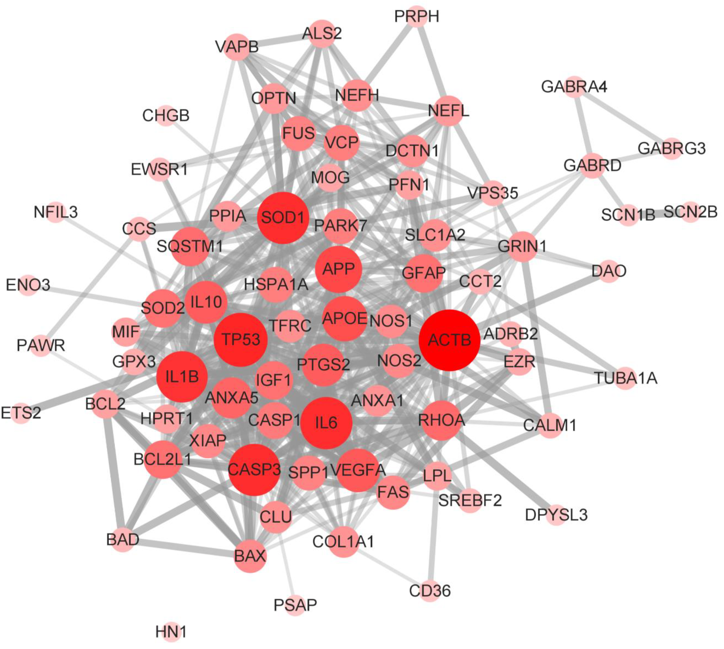 Brainsci 13 00151 g005 Brainsci 13 00151 g005