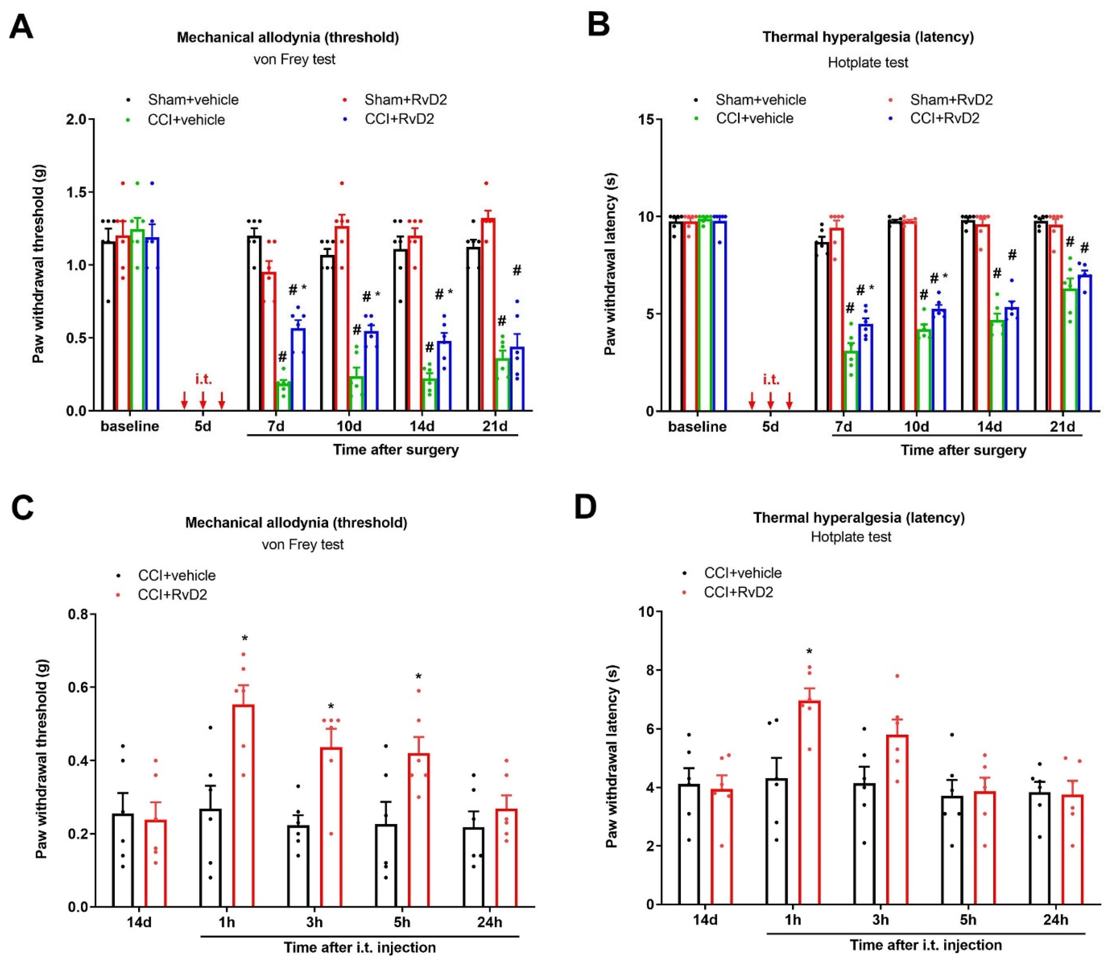 Brainsci 13 00152 g001 Brainsci 13 00152 g001