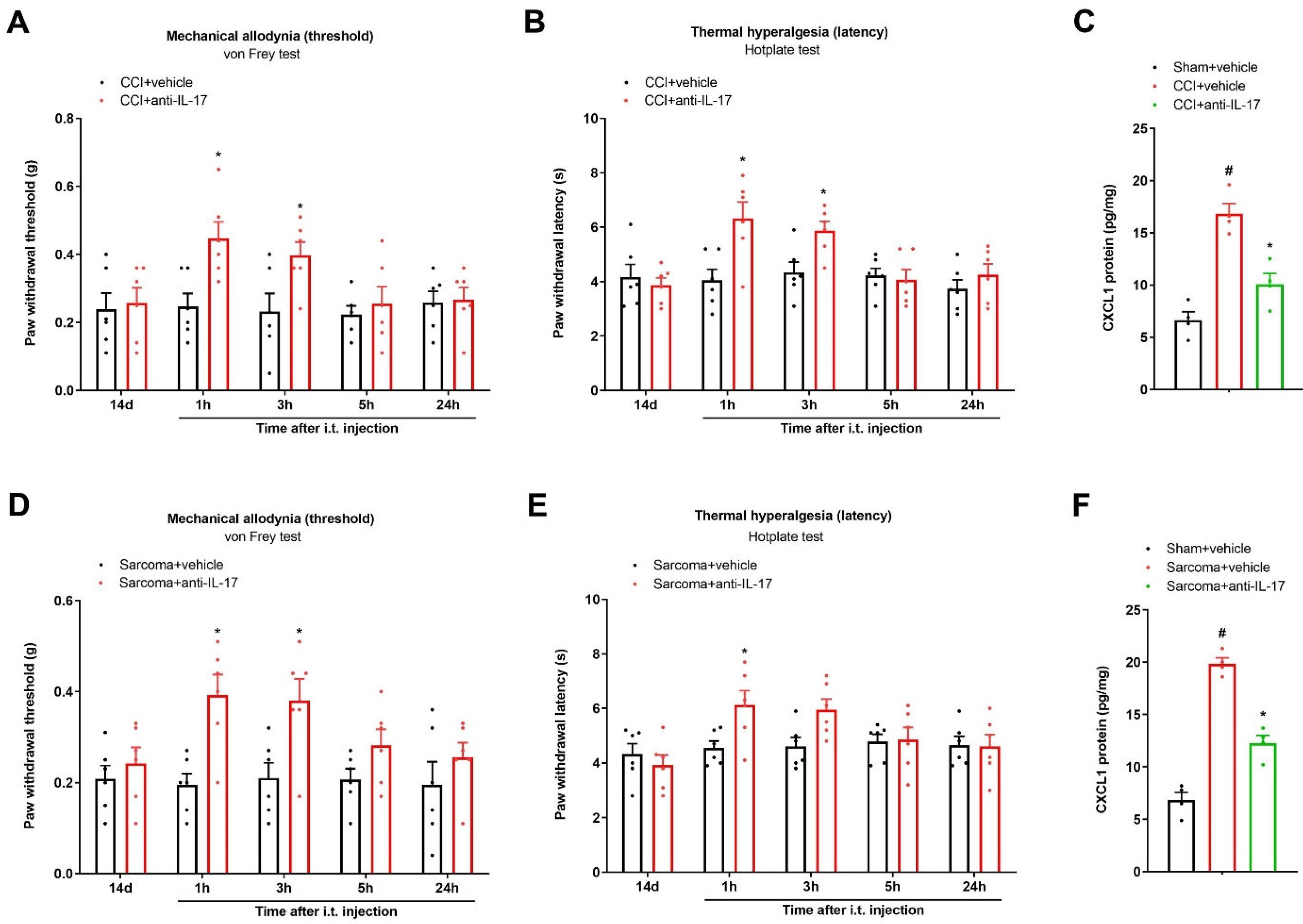 Brainsci 13 00152 g005 Brainsci 13 00152 g005
