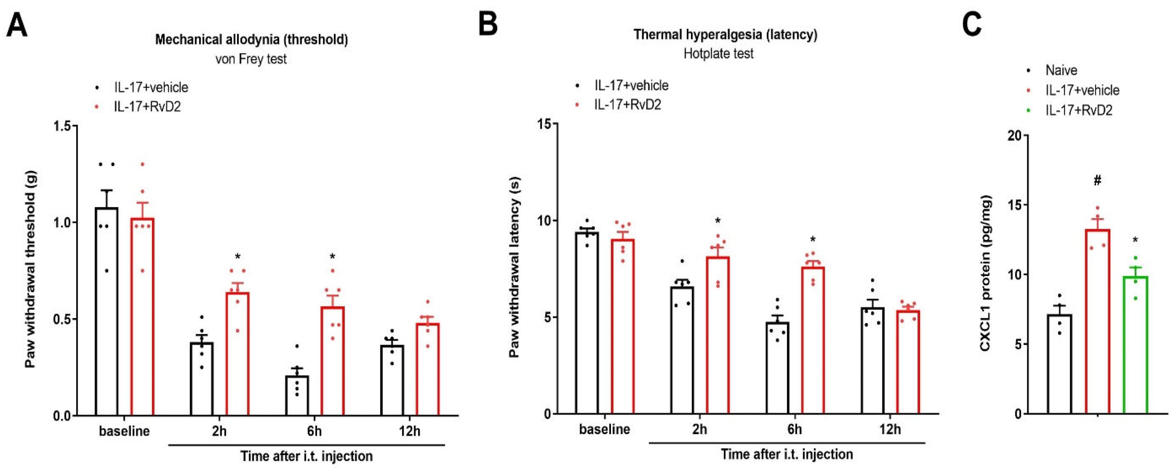 Brainsci 13 00152 g006 Brainsci 13 00152 g006