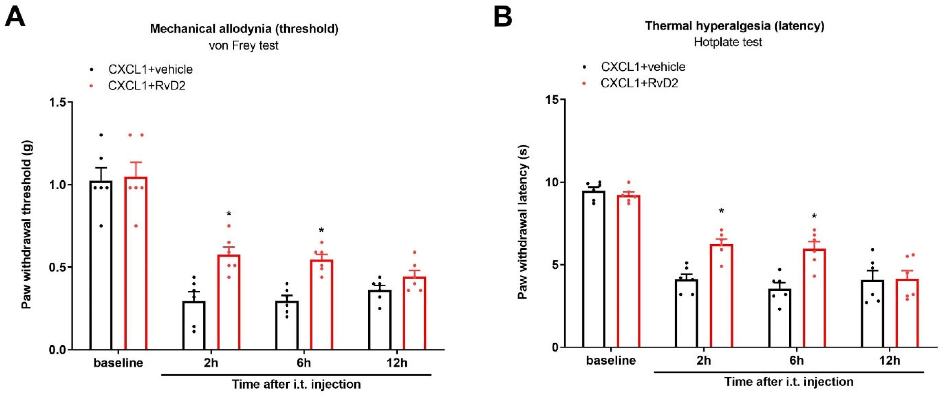 Brainsci 13 00152 g007 Brainsci 13 00152 g007