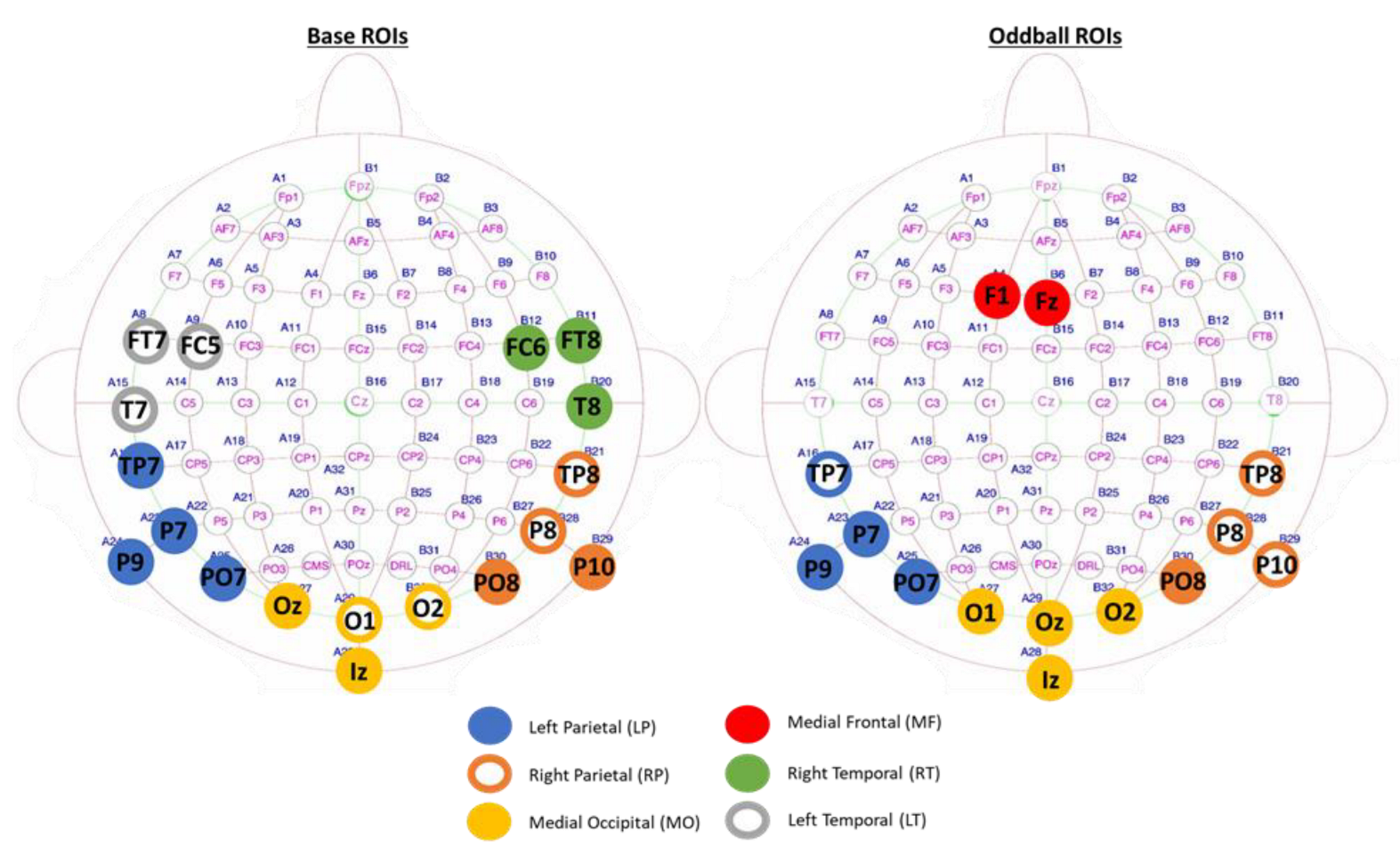 Brainsci 13 00162 g003