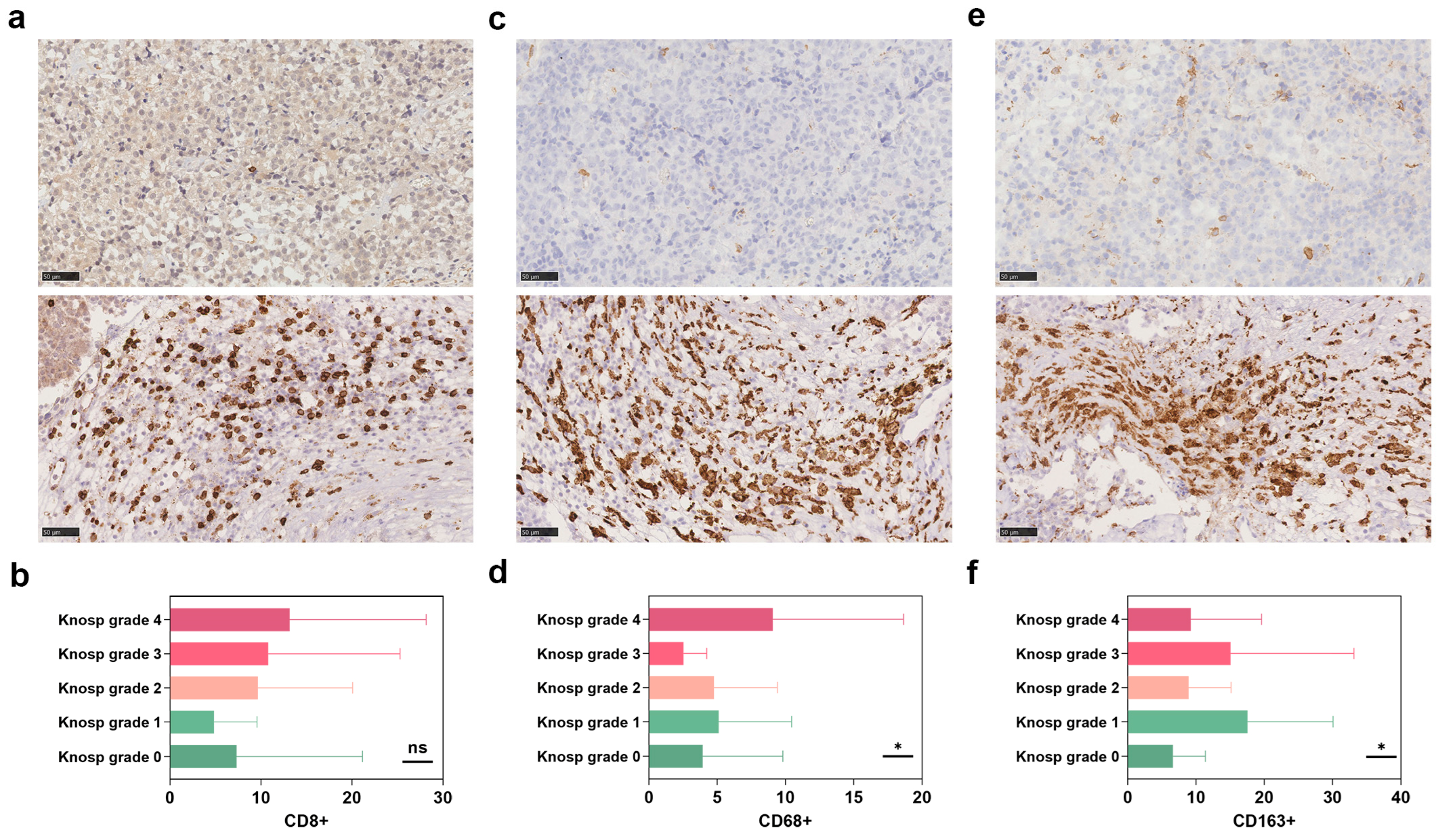 Brainsci 13 00164 g001 Brainsci 13 00164 g001