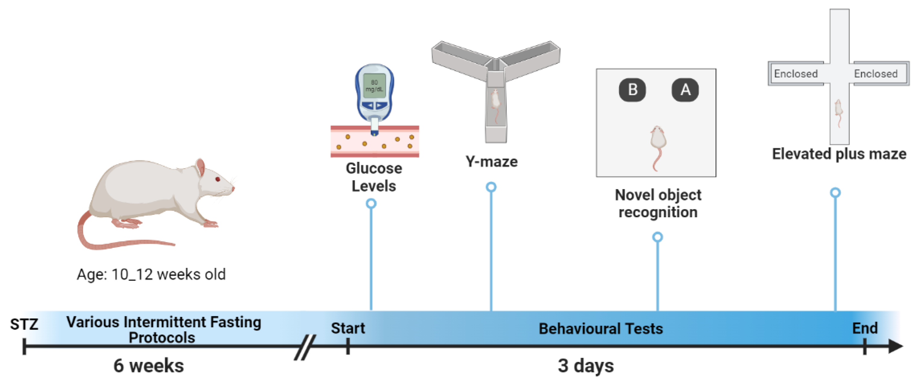 Brainsci 13 00165 g001
