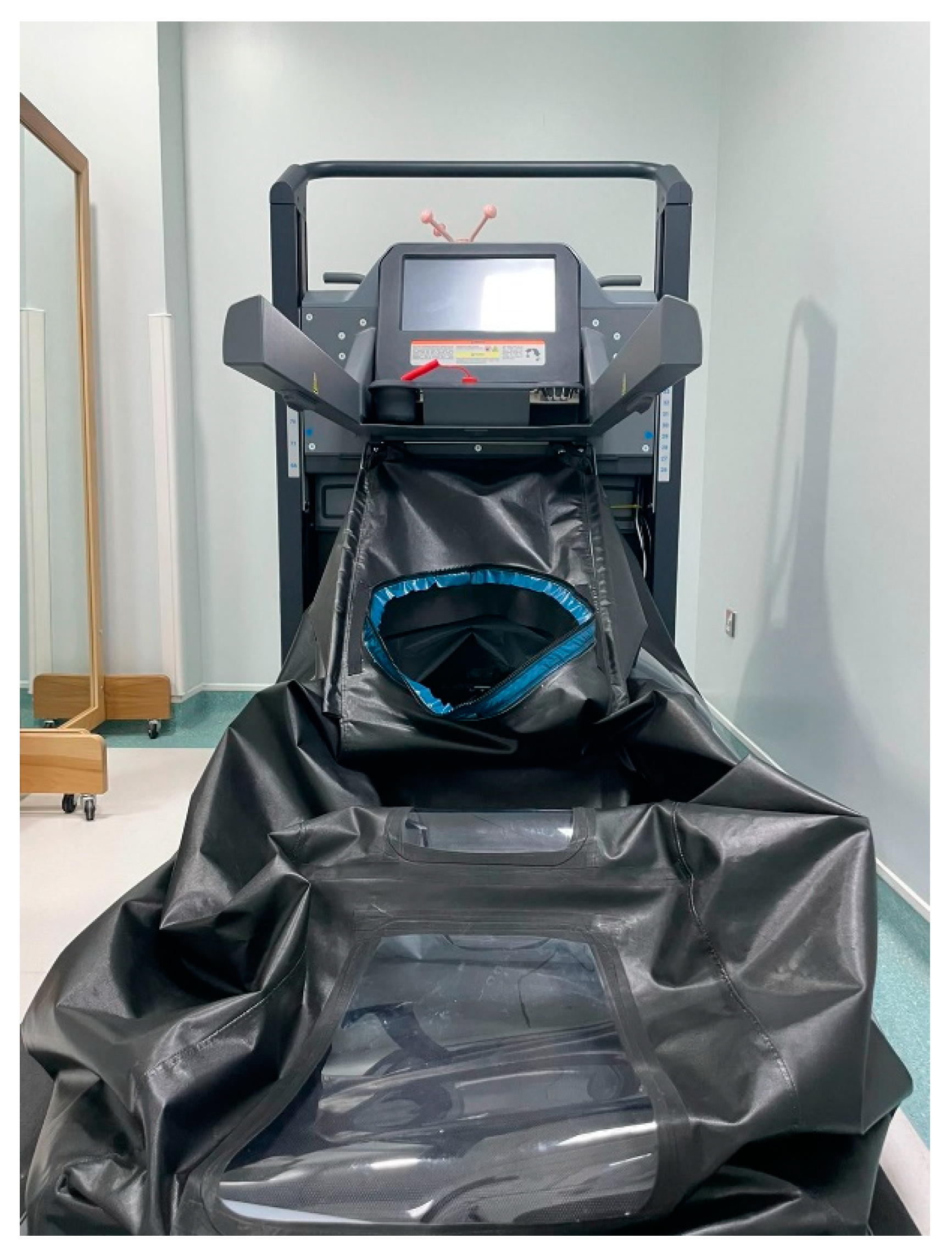 Brainsci 13 00166 g001