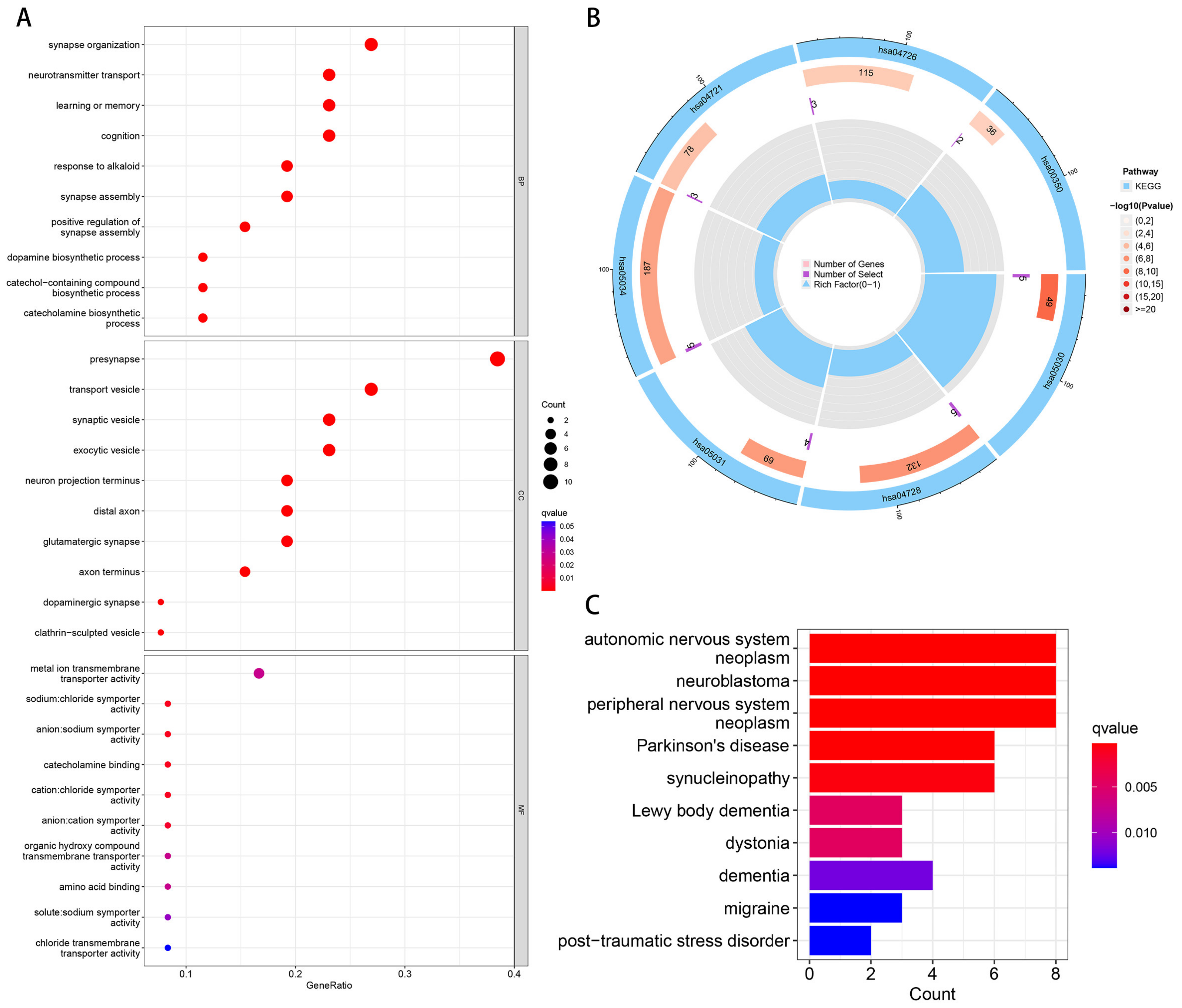 Brainsci 13 00175 g003