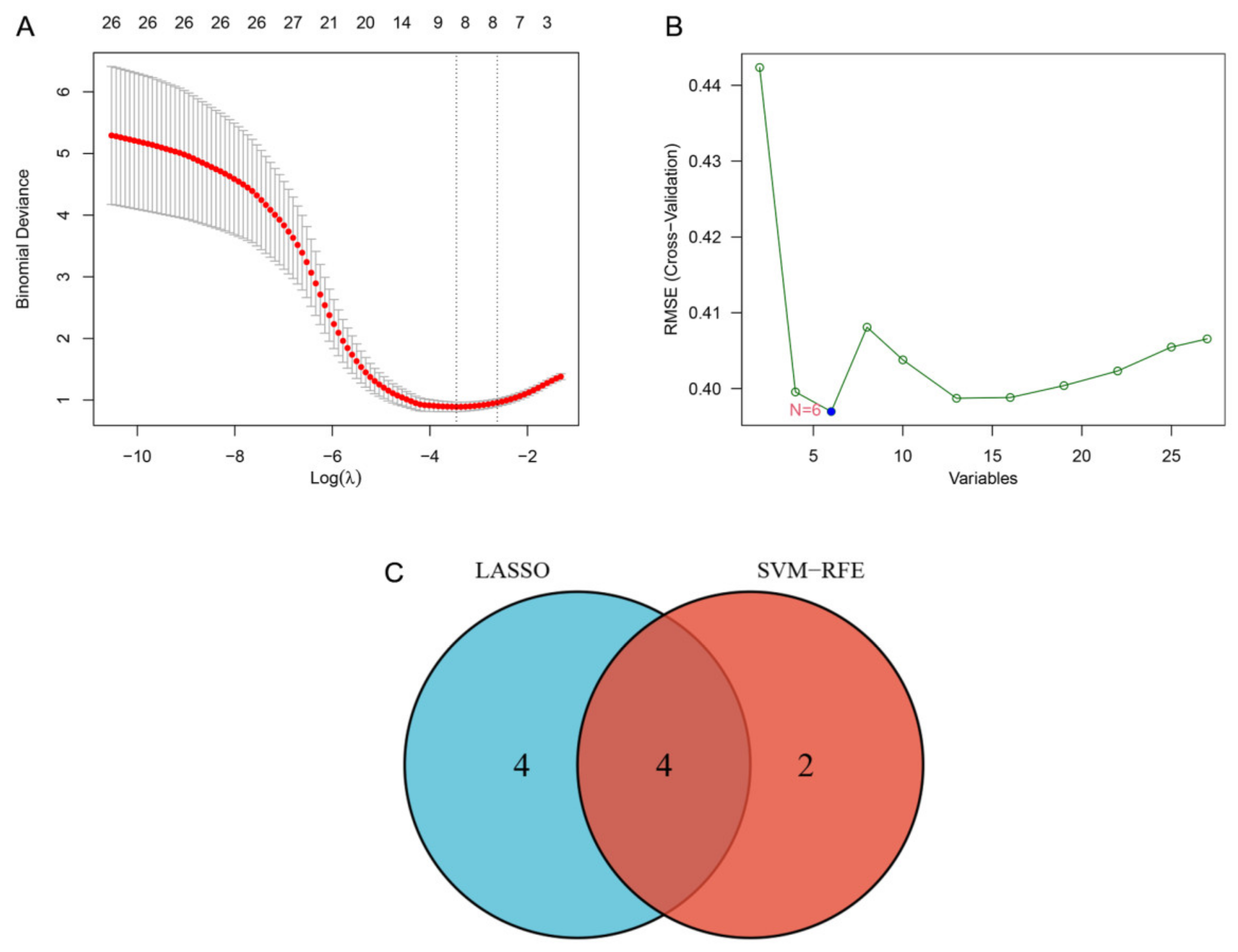 Brainsci 13 00175 g005