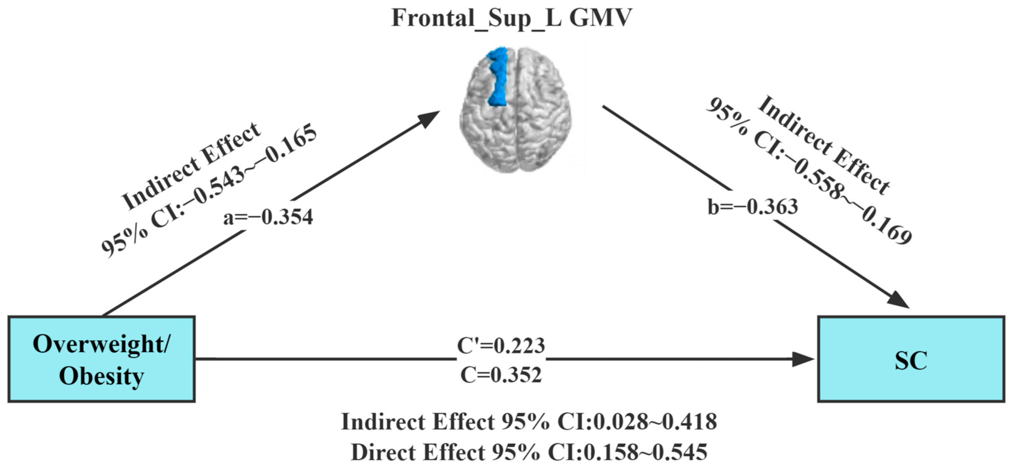 Brainsci 13 00180 g003 Brainsci 13 00180 g003