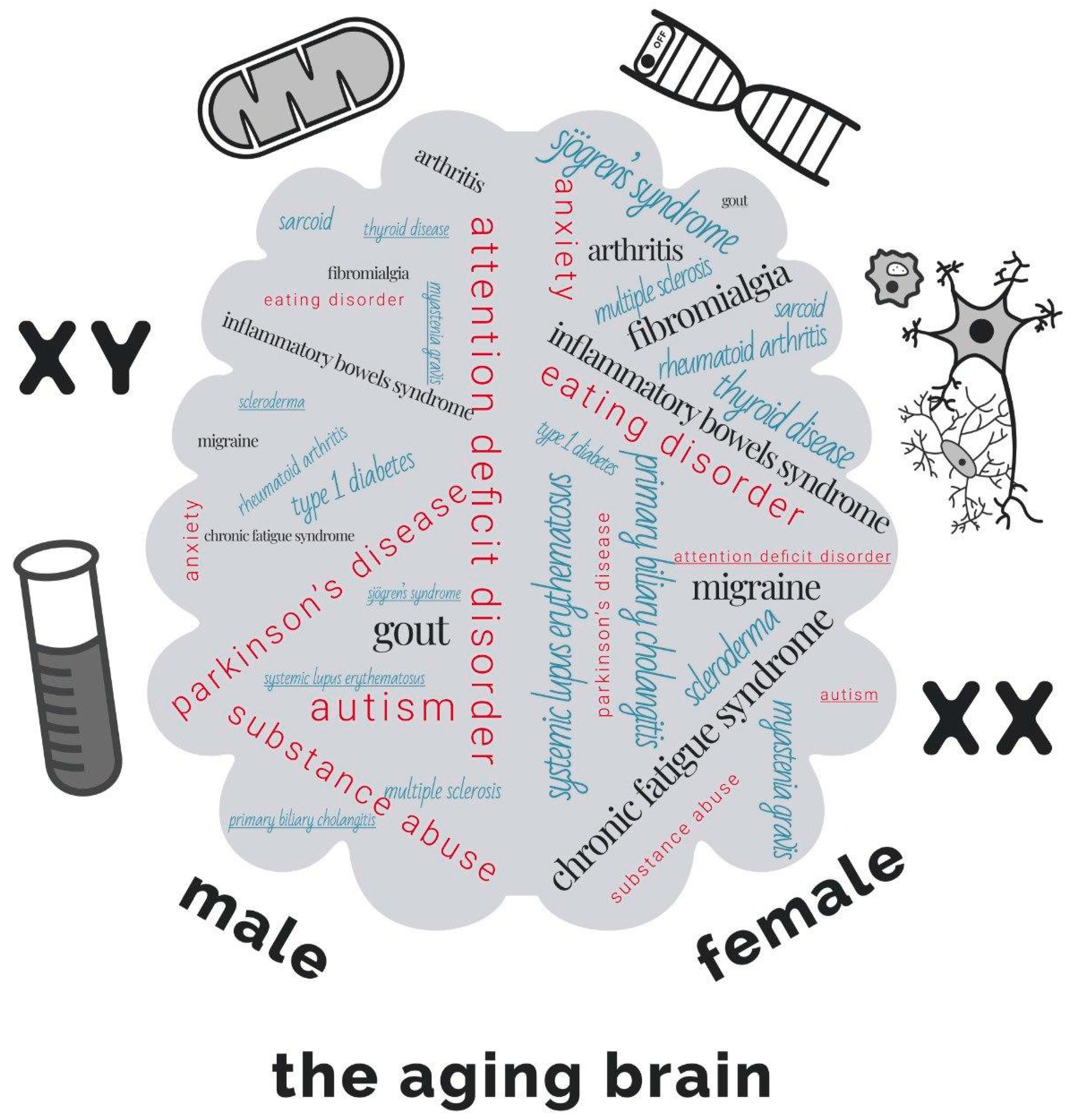 Brain Sciences Free Full-Text Genetic and Epigenetic Sexual Dimorphism of Brain Cells during Aging picture image
