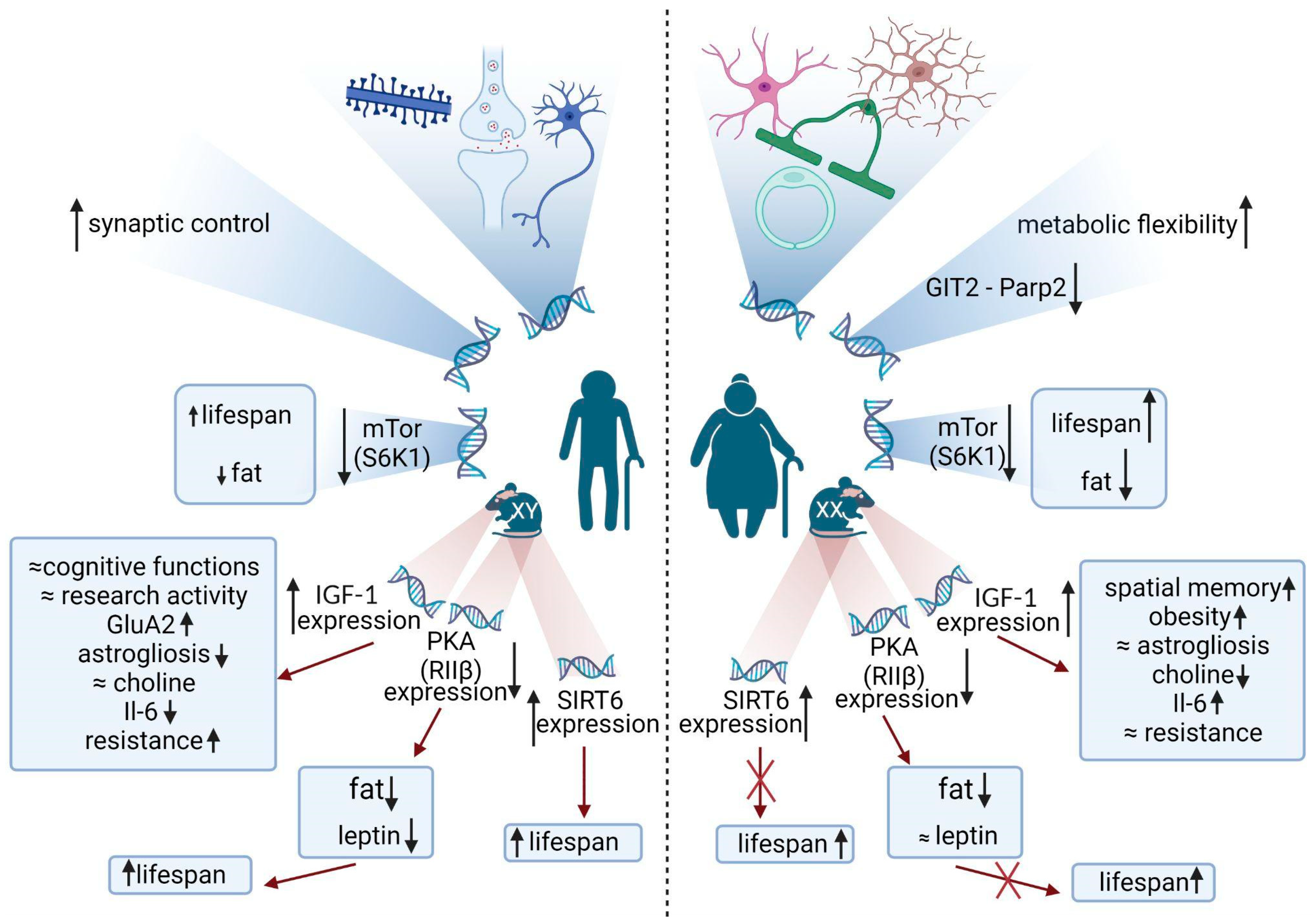 Brainsci 13 00195 g002 Brainsci 13 00195 g002
