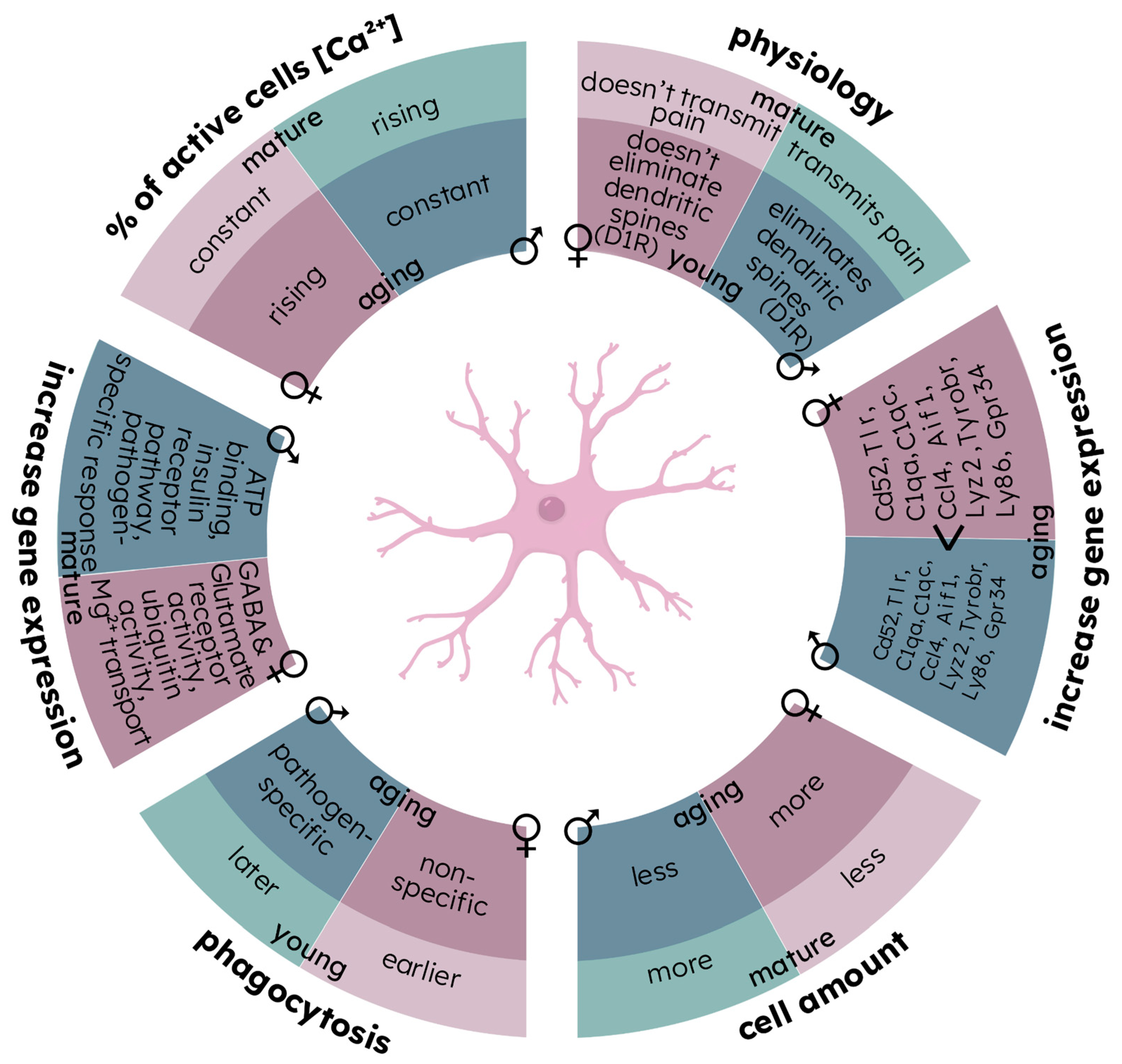 Brainsci 13 00195 g003 Brainsci 13 00195 g003