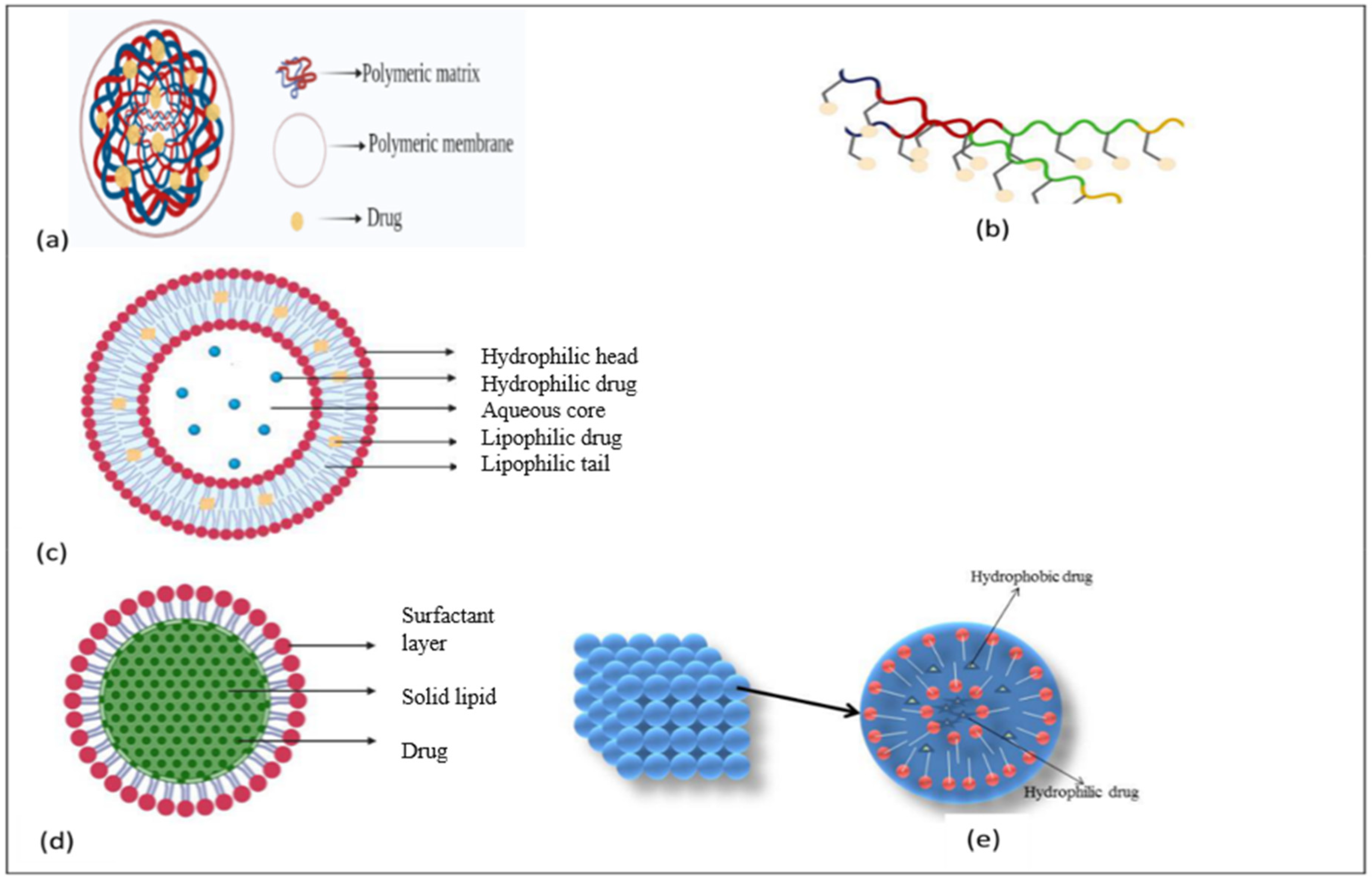 Brainsci 13 00213 g003 Brainsci 13 00213 g003