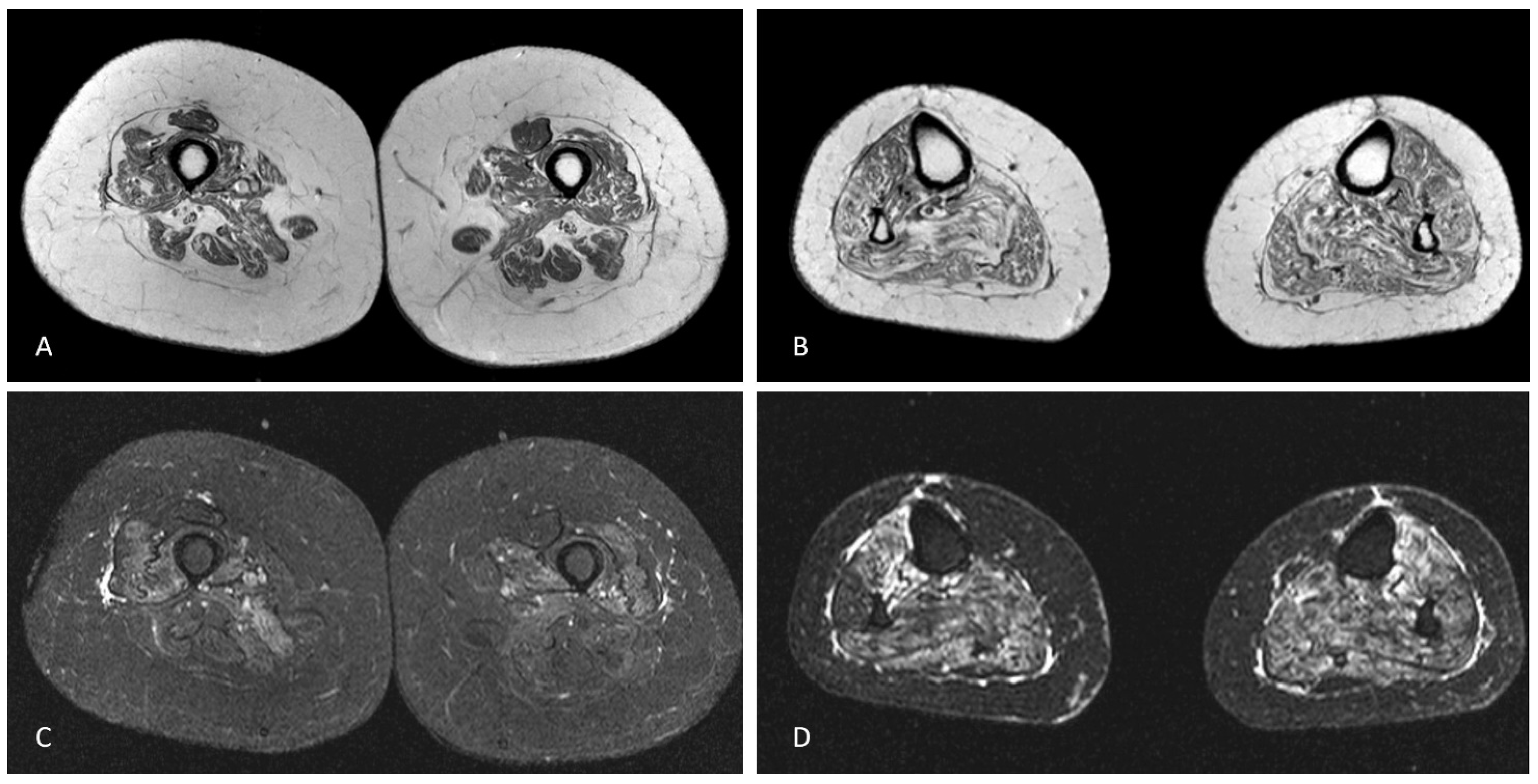 Brainsci 13 00220 g001