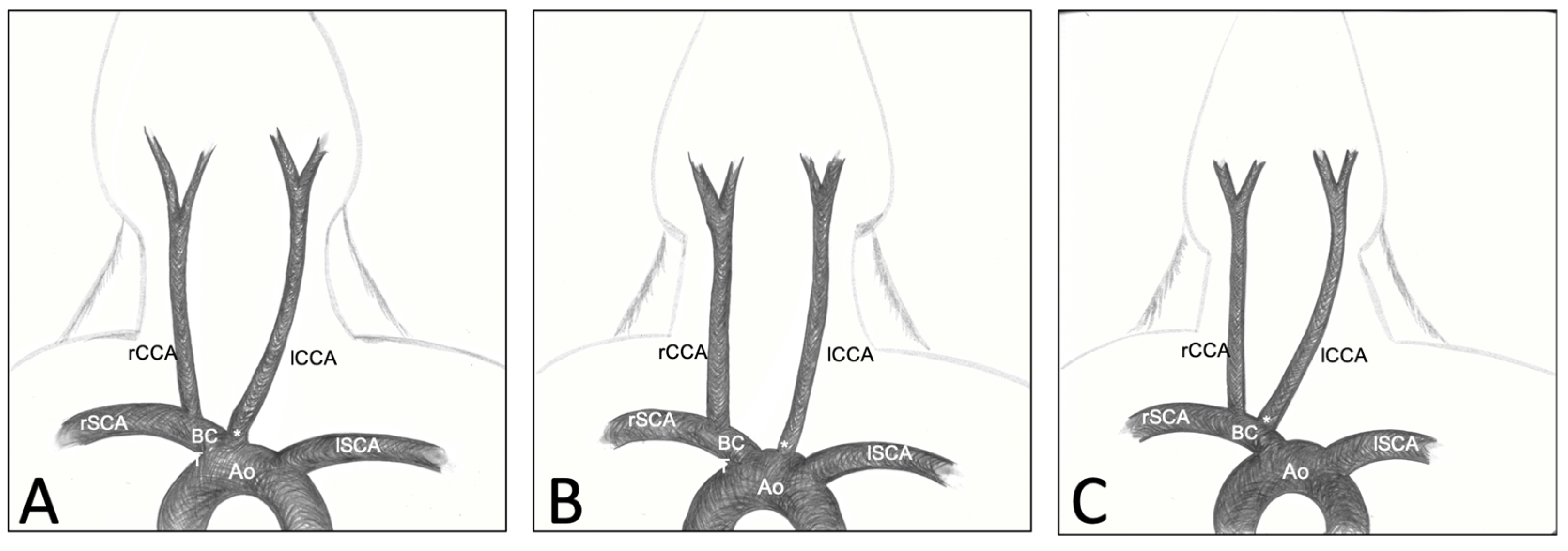 Brainsci 13 00222 g001 Brainsci 13 00222 g001