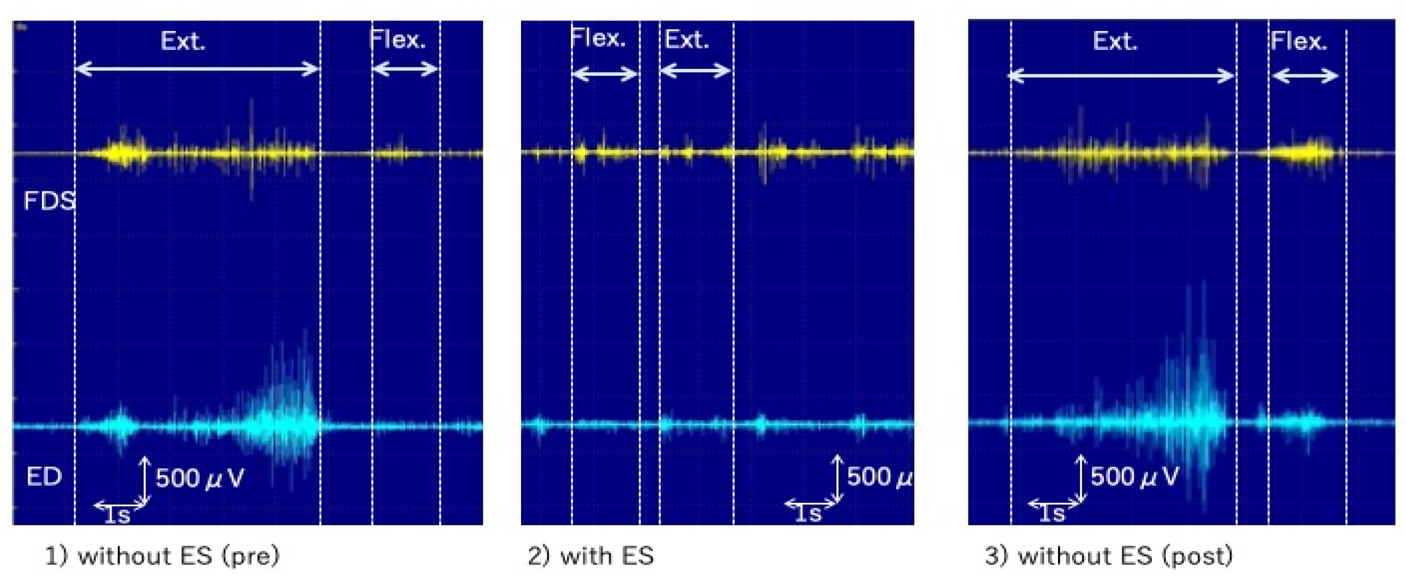 Brainsci 13 00223 g001 Brainsci 13 00223 g001