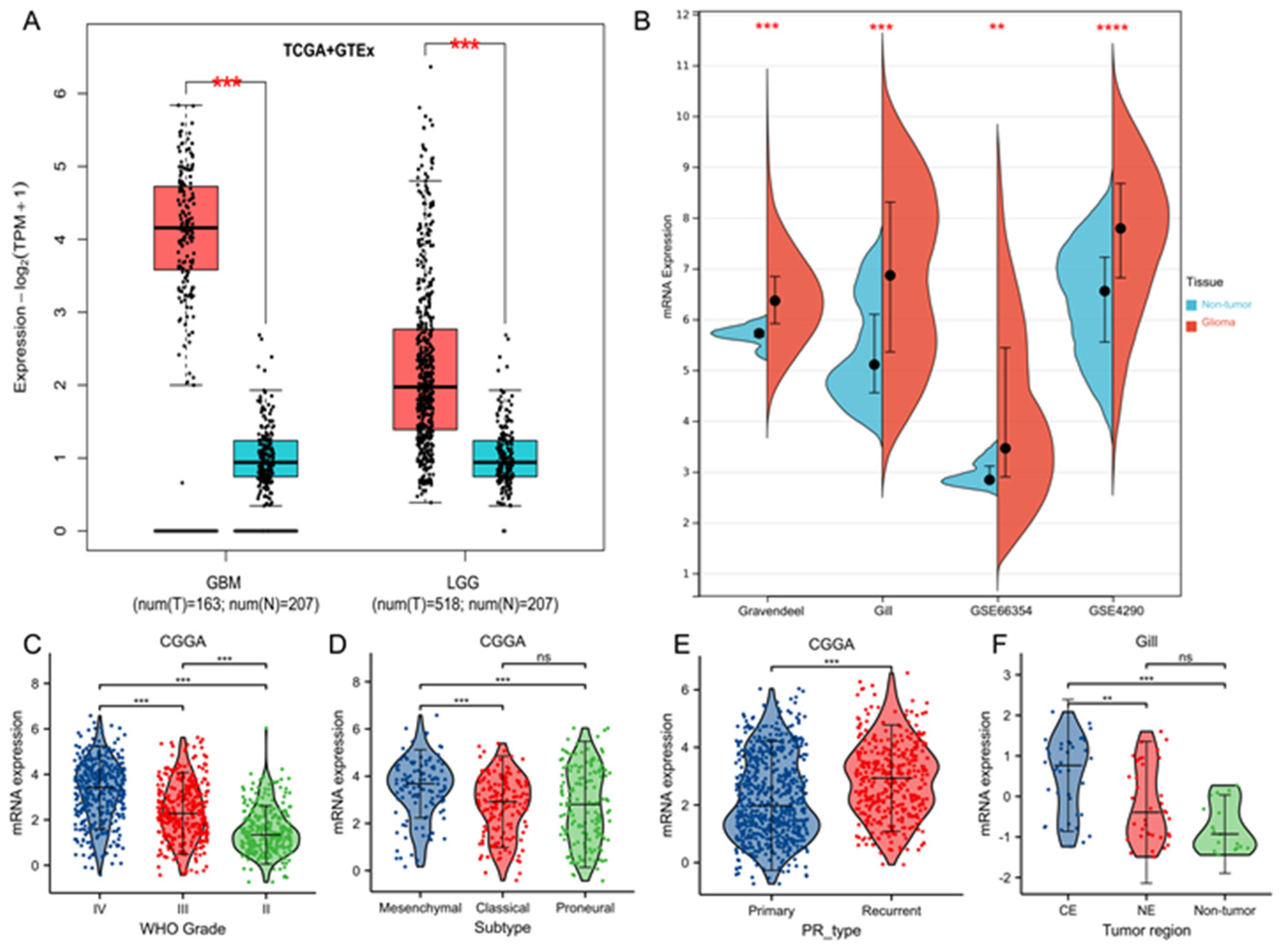 Brainsci 13 00230 g001 Brainsci 13 00230 g001