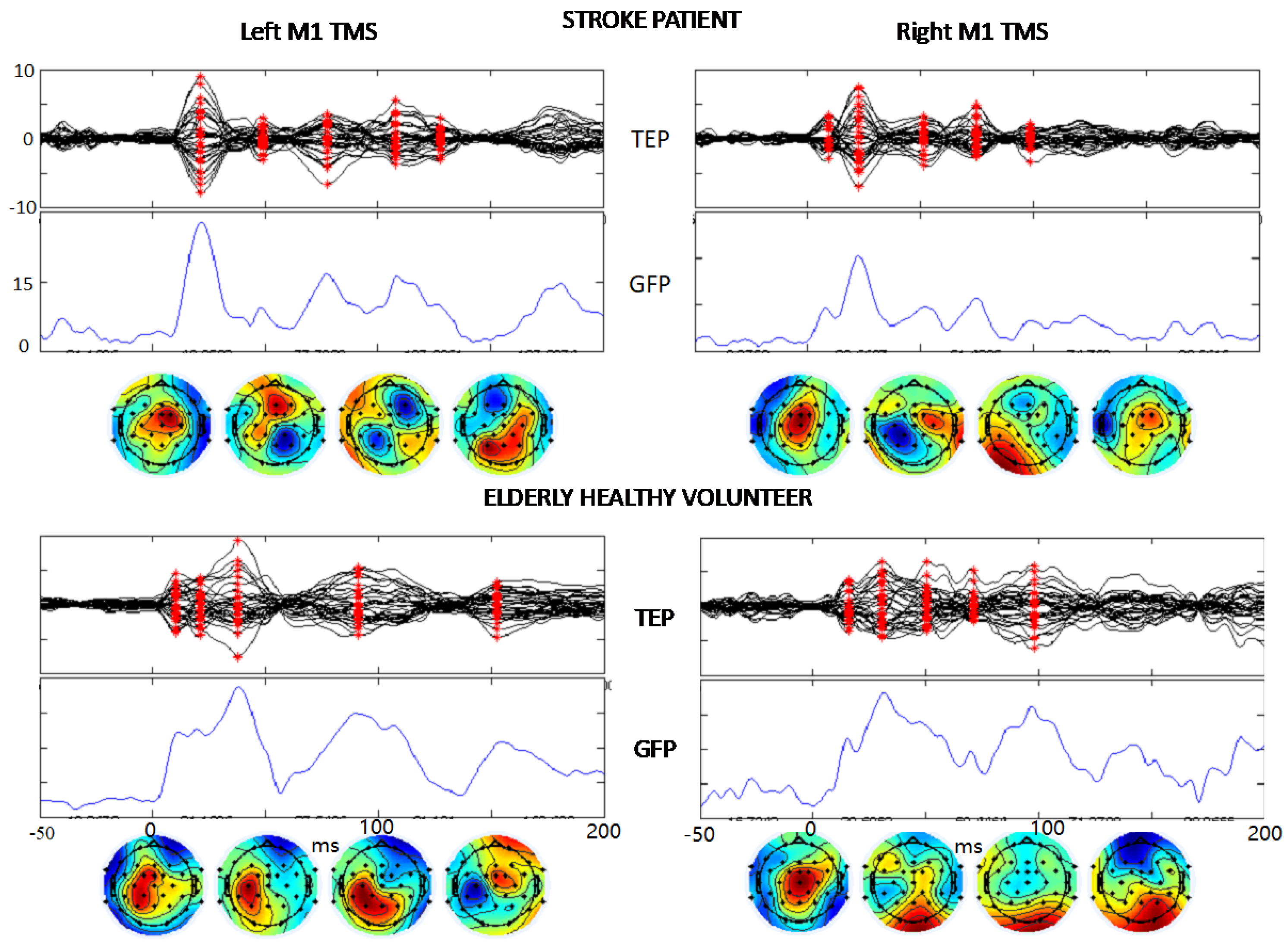 Brainsci 13 00233 g003 Brainsci 13 00233 g003