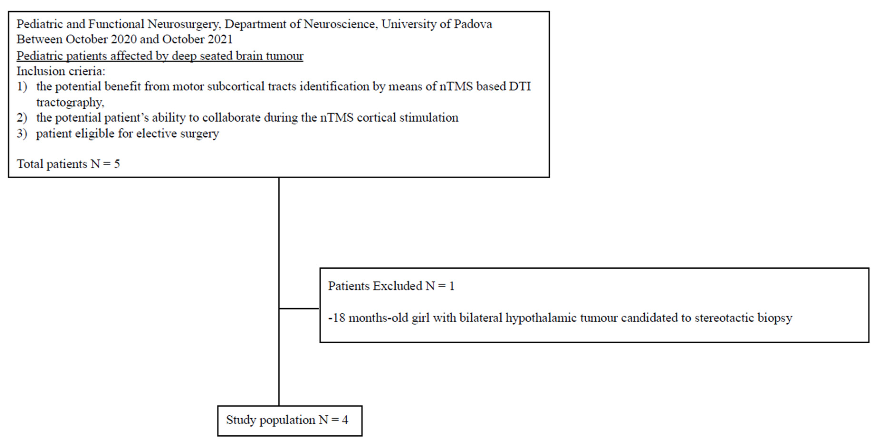 Brainsci 13 00234 g001 Brainsci 13 00234 g001