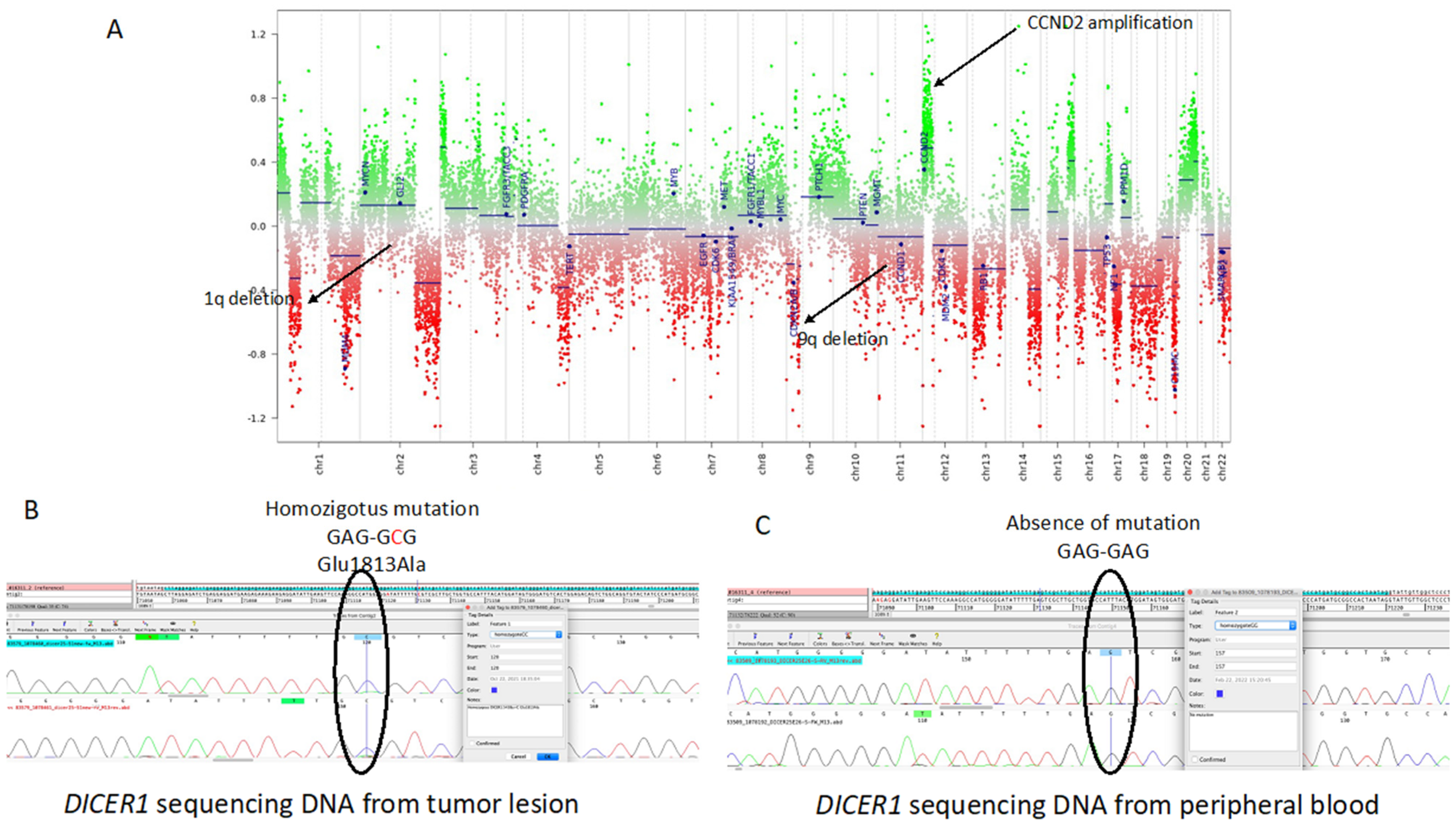 Brainsci 13 00235 g004