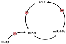 Brainsci 13 00243 i001 Brainsci 13 00243 i001