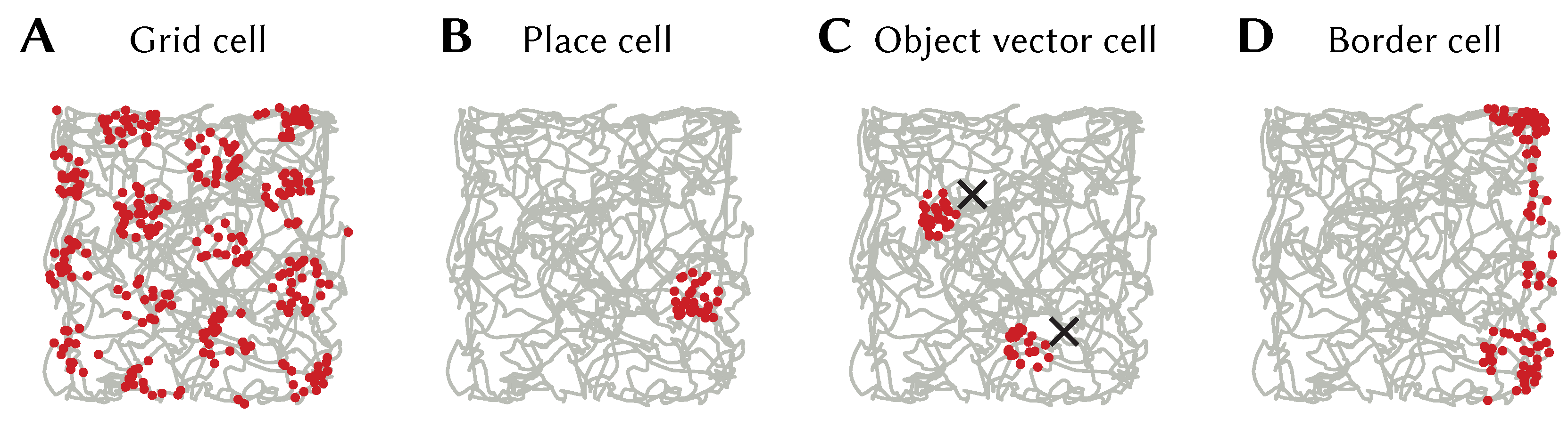 Brainsci 13 00245 g010