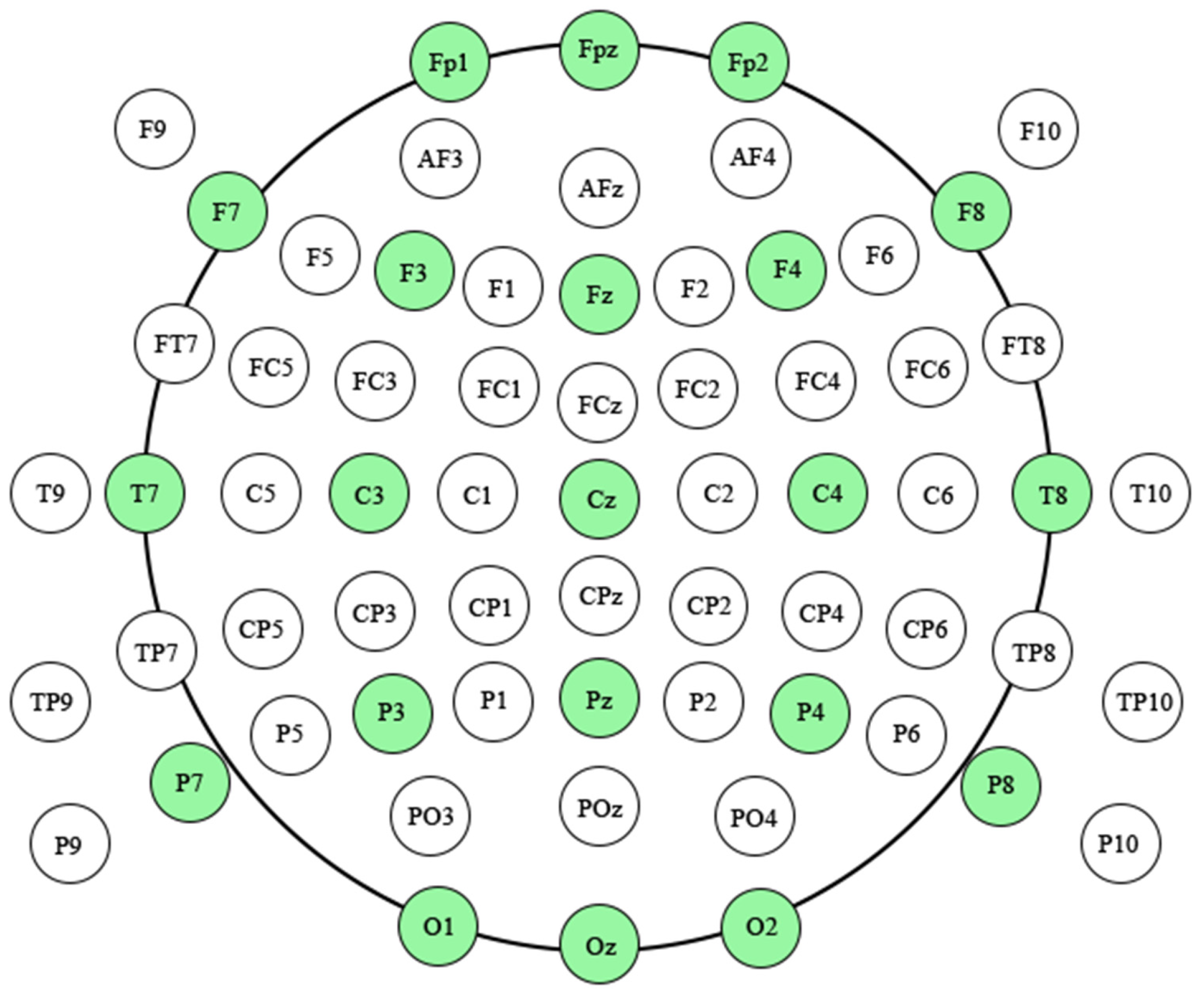 Brainsci 13 00247 g003
