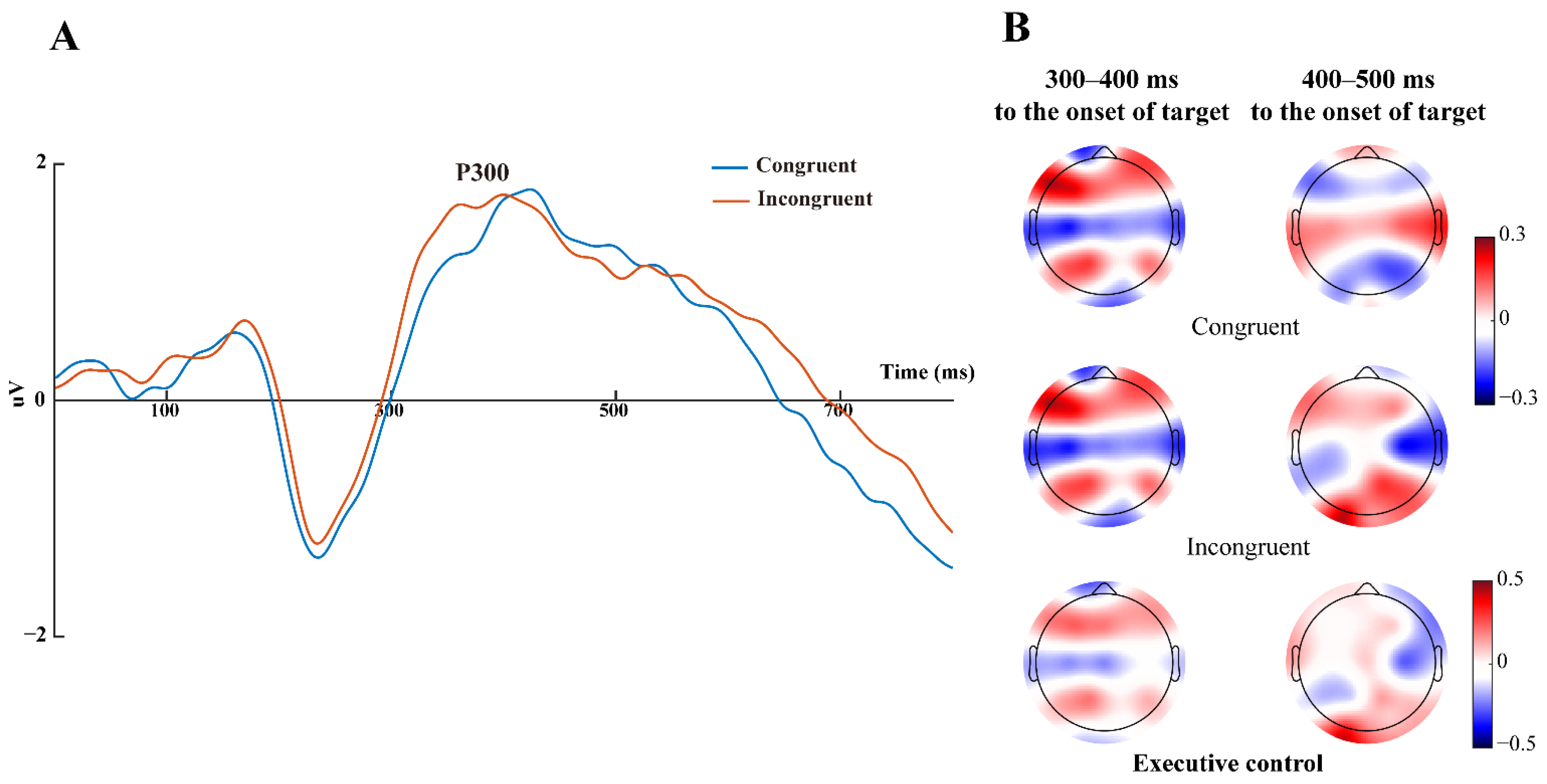 Brainsci 13 00247 g006