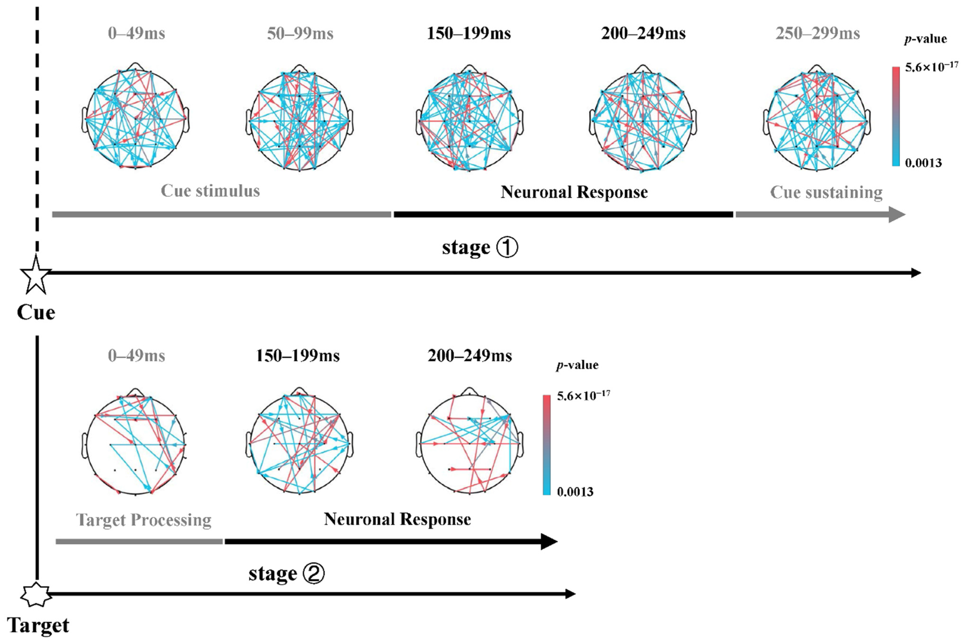 Brainsci 13 00247 g008