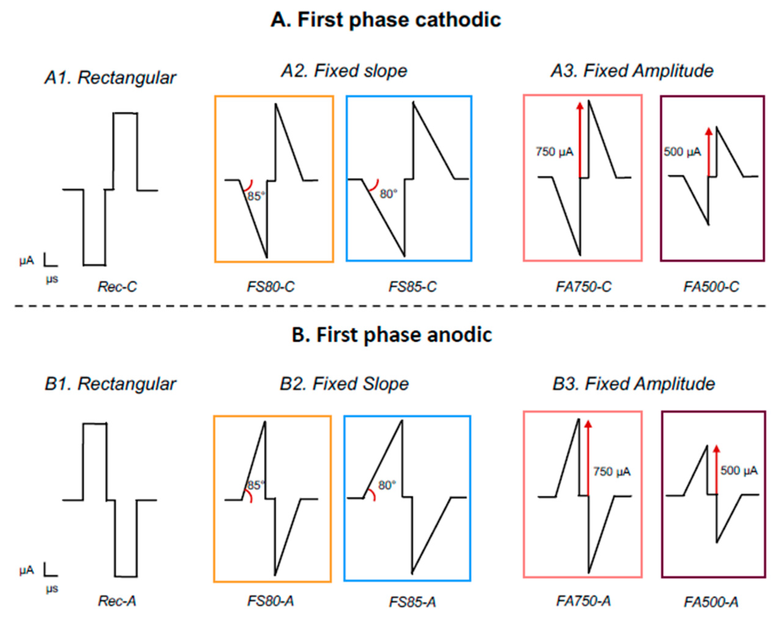 Brainsci 13 00250 g001