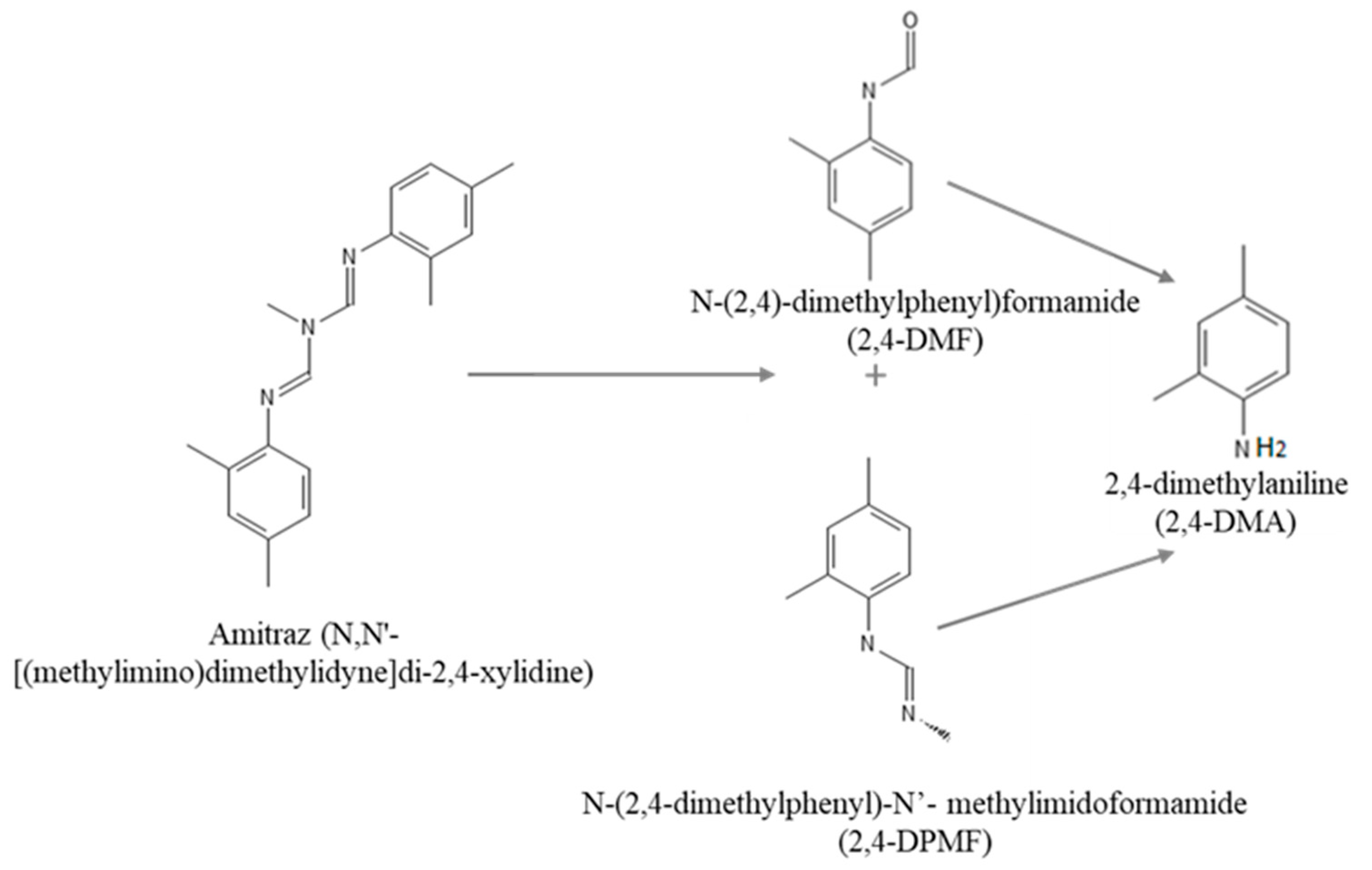 Brainsci 13 00252 g001 550