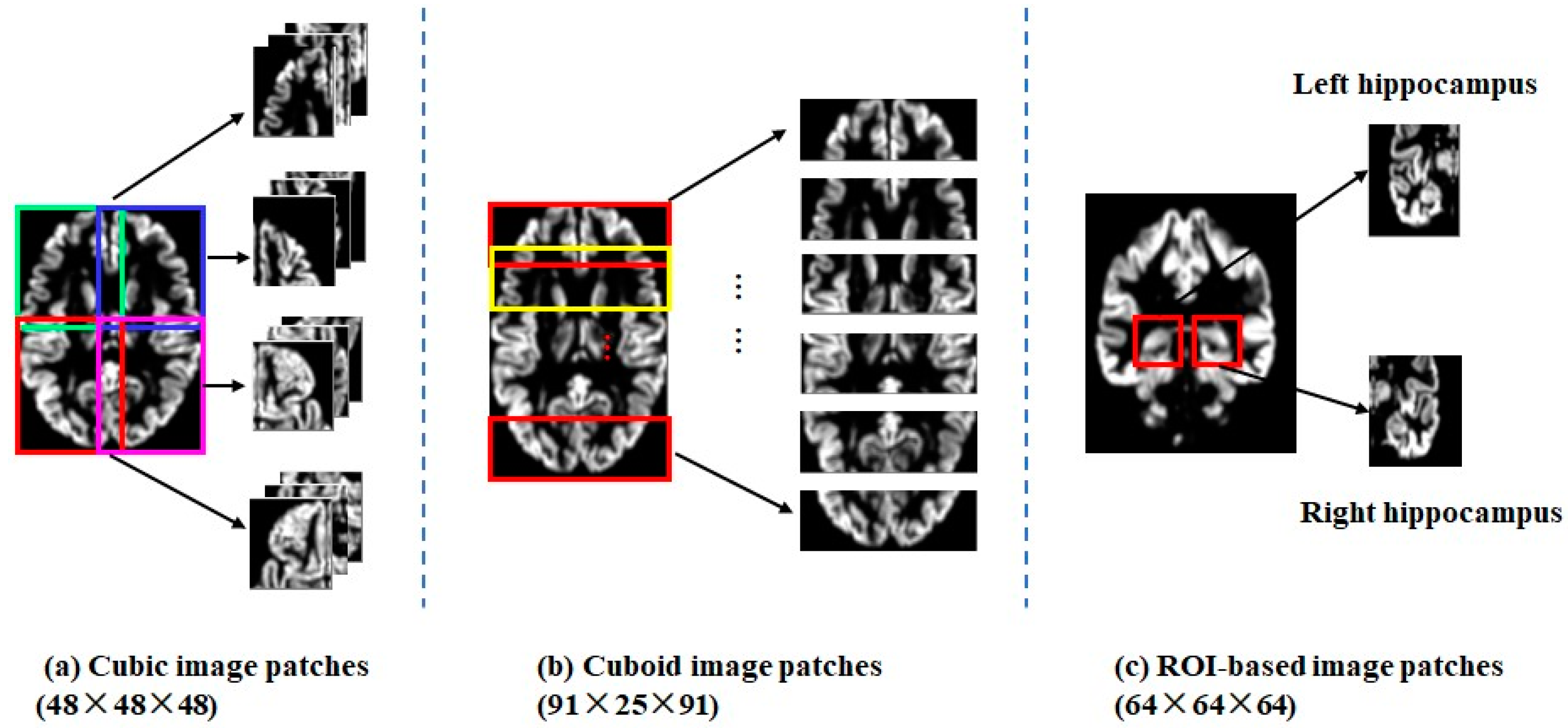 Brainsci 13 00254 g002