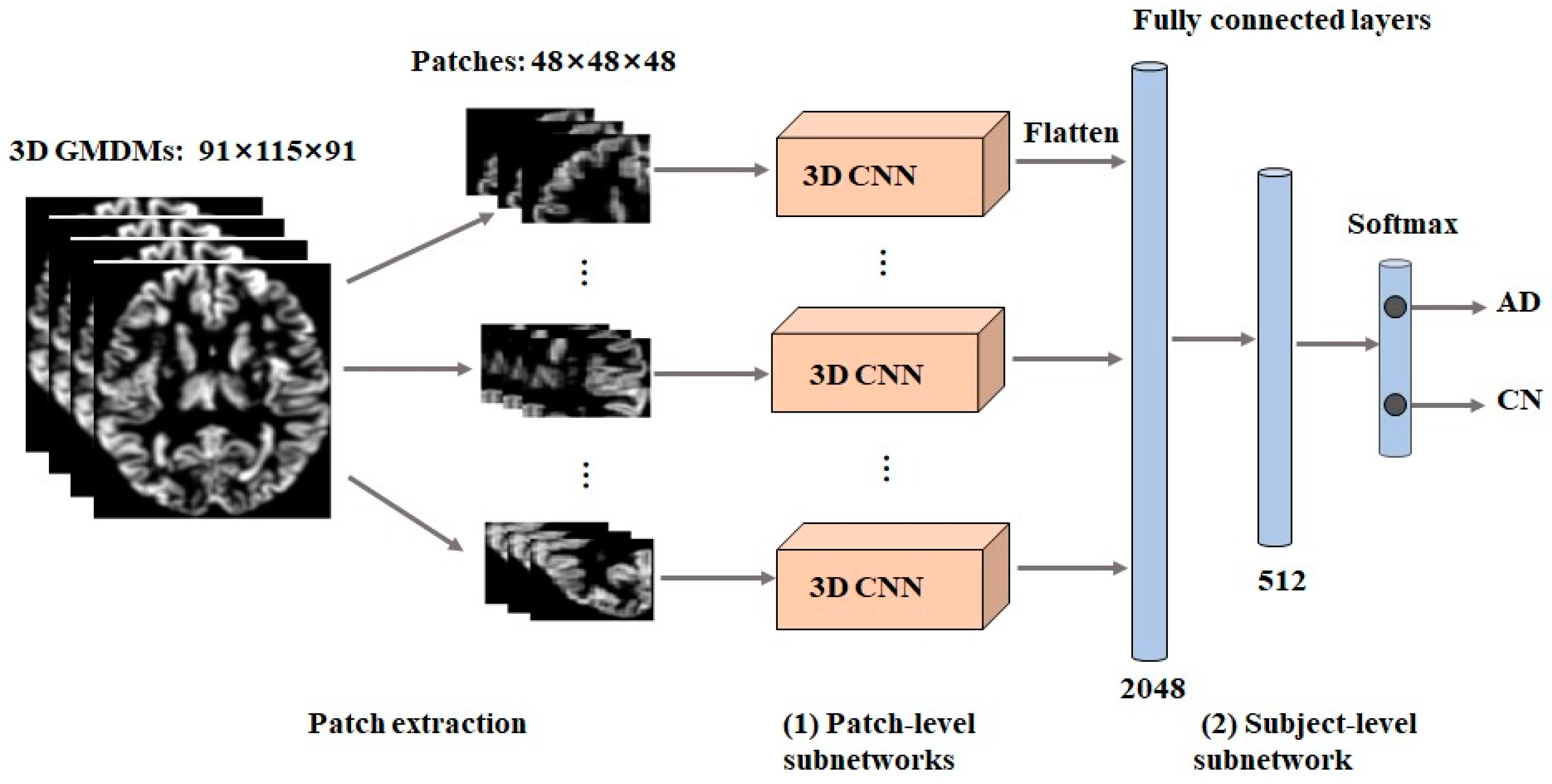Brainsci 13 00254 g003