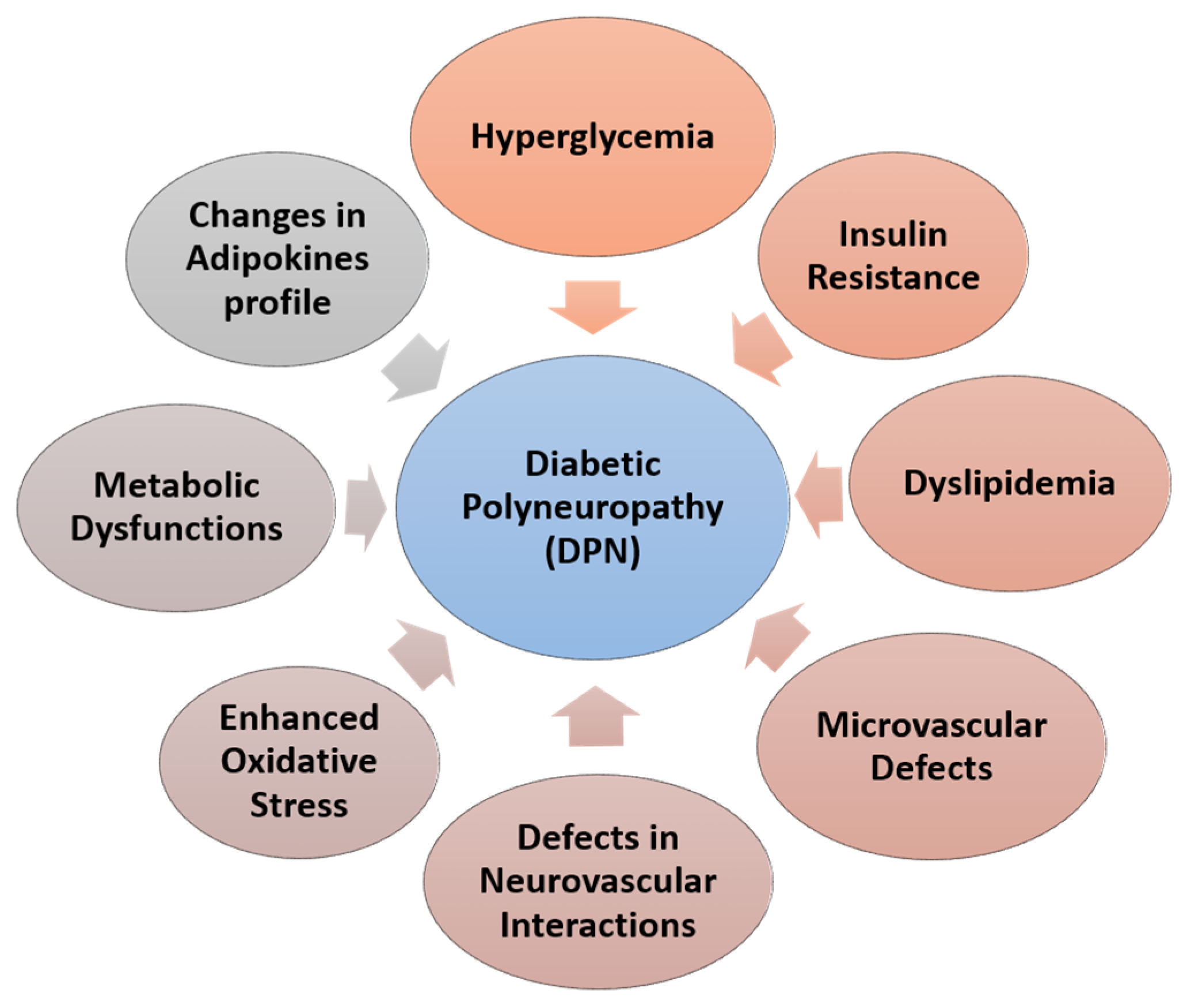 Brainsci 13 00255 g001 Brainsci 13 00255 g001