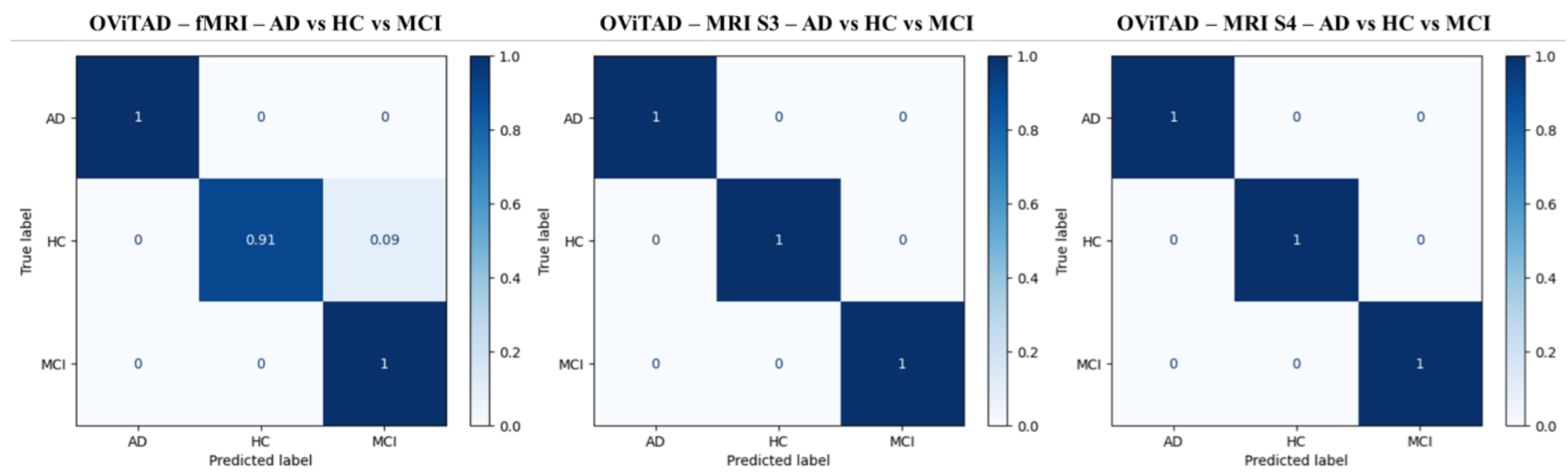 Brainsci 13 00260 g003