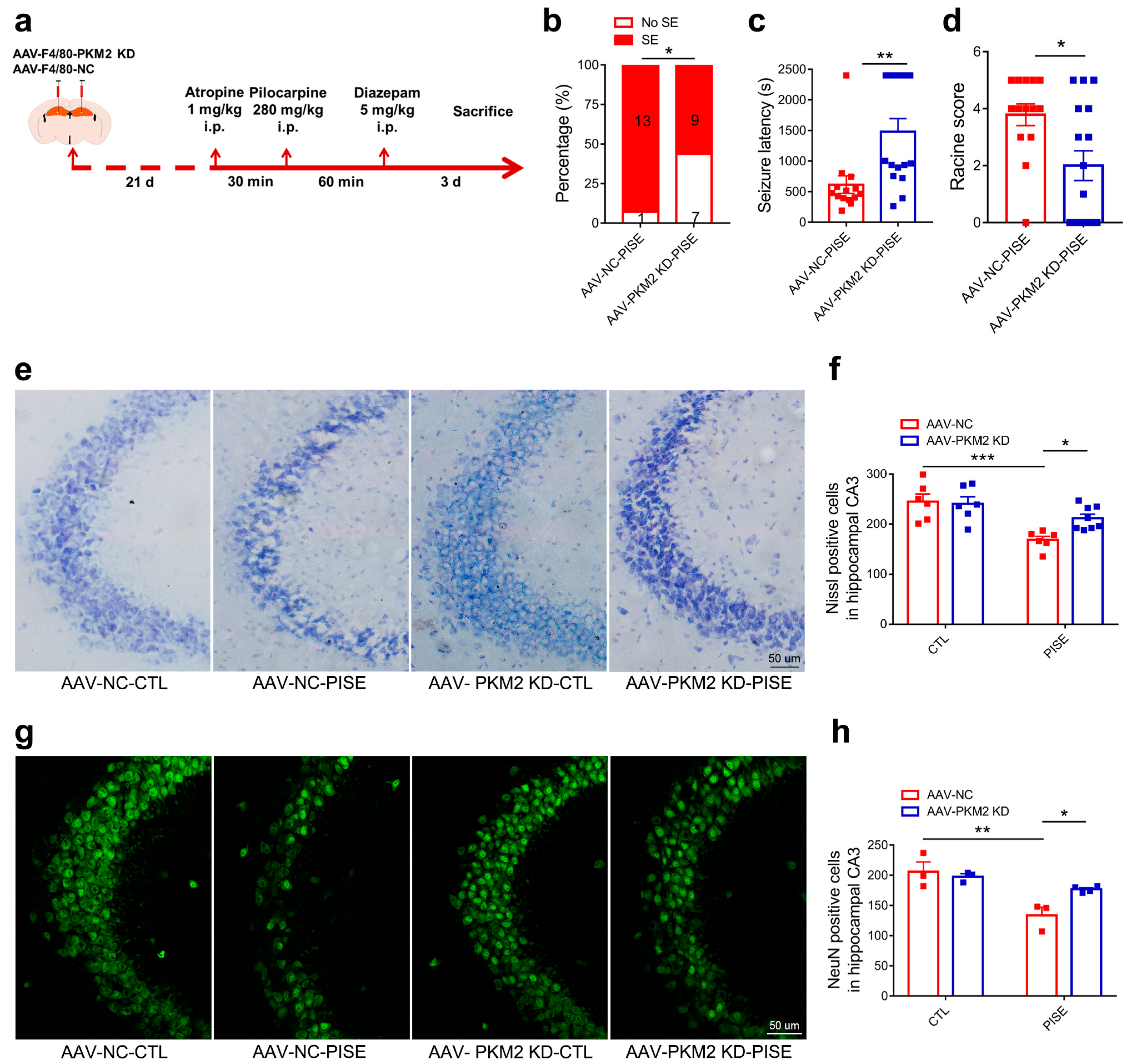 Brainsci 13 00262 g002