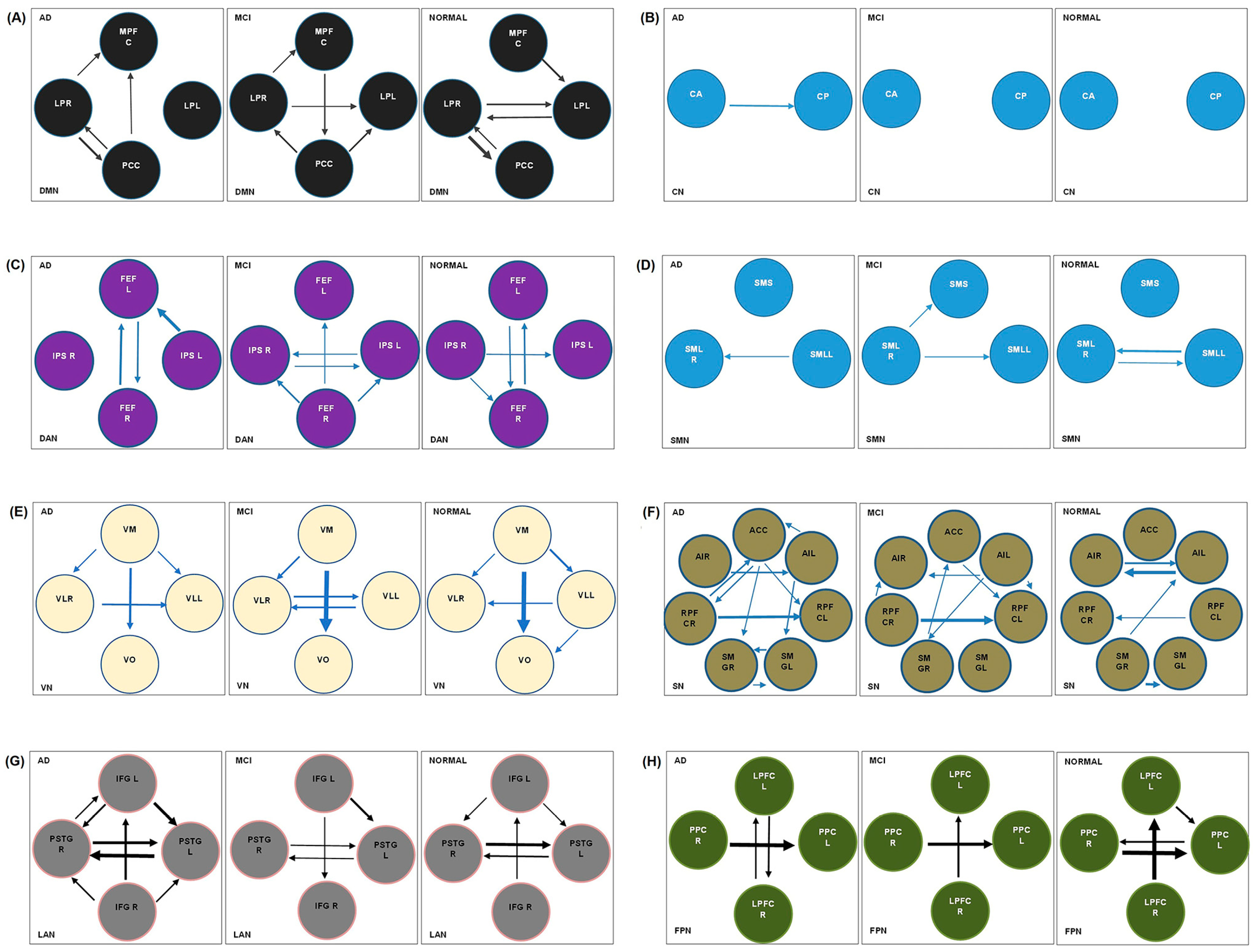 Brainsci 13 00265 g003 Brainsci 13 00265 g003