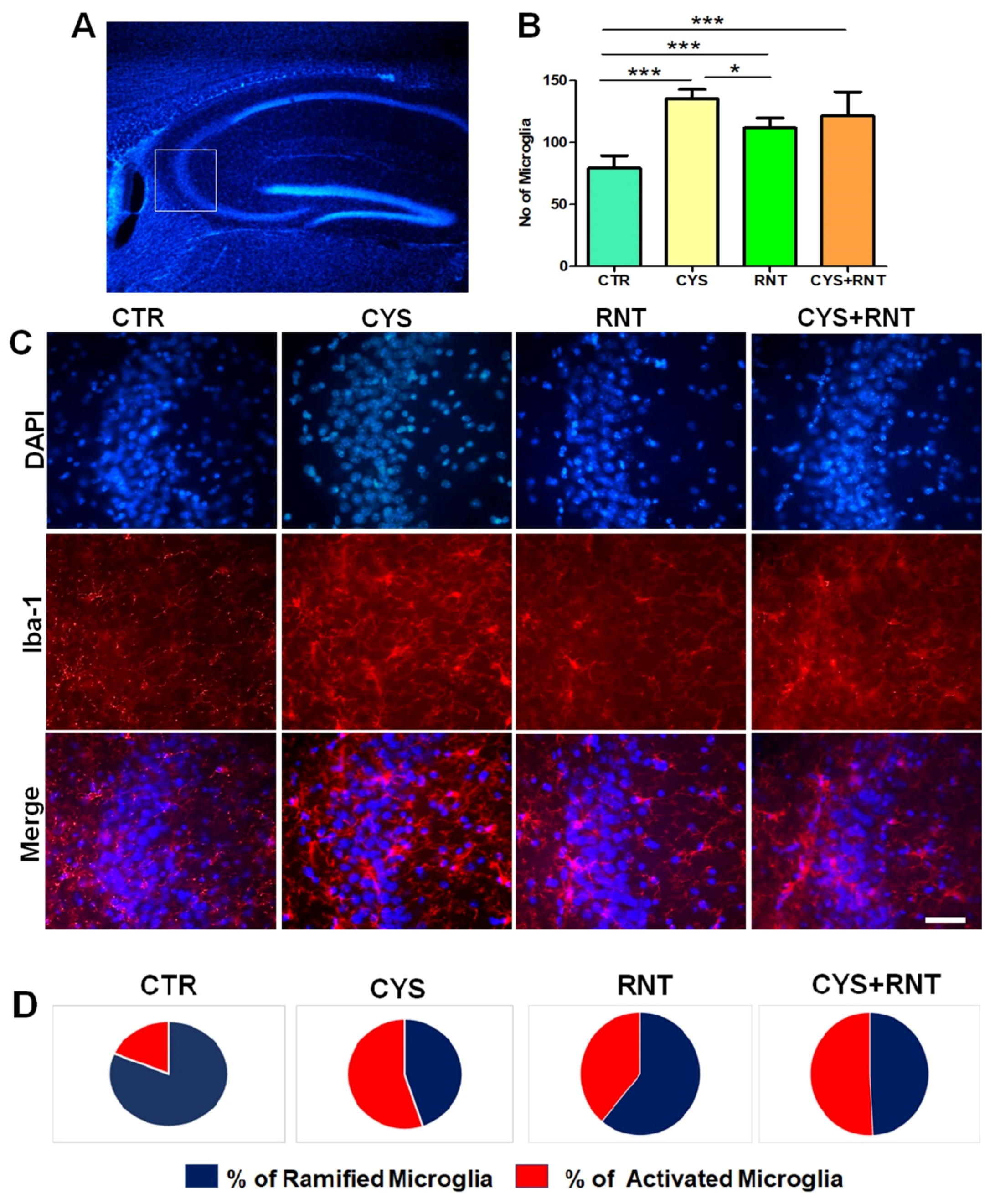Brainsci 13 00266 g007