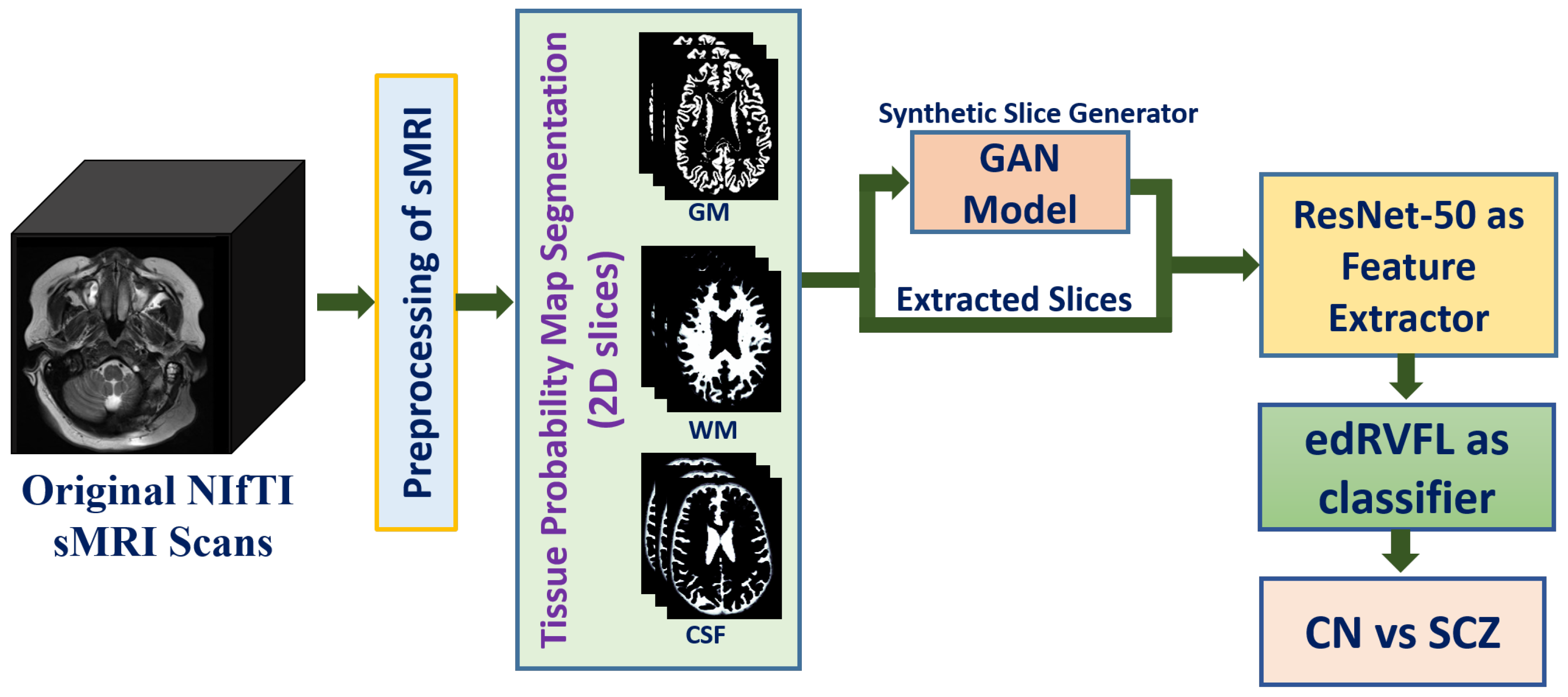 Brainsci 13 00267 g001 Brainsci 13 00267 g001