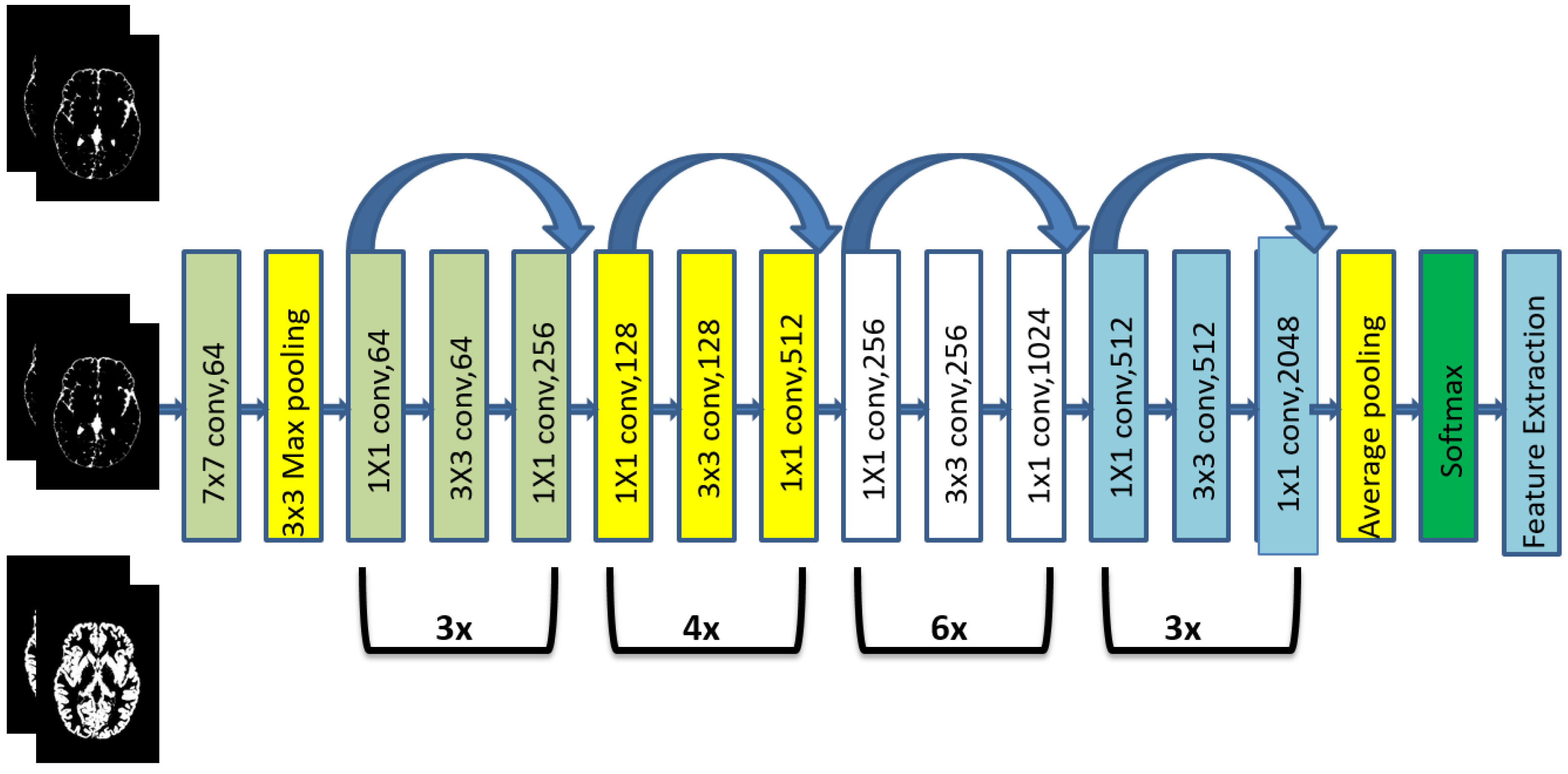 Brainsci 13 00267 g004 Brainsci 13 00267 g004