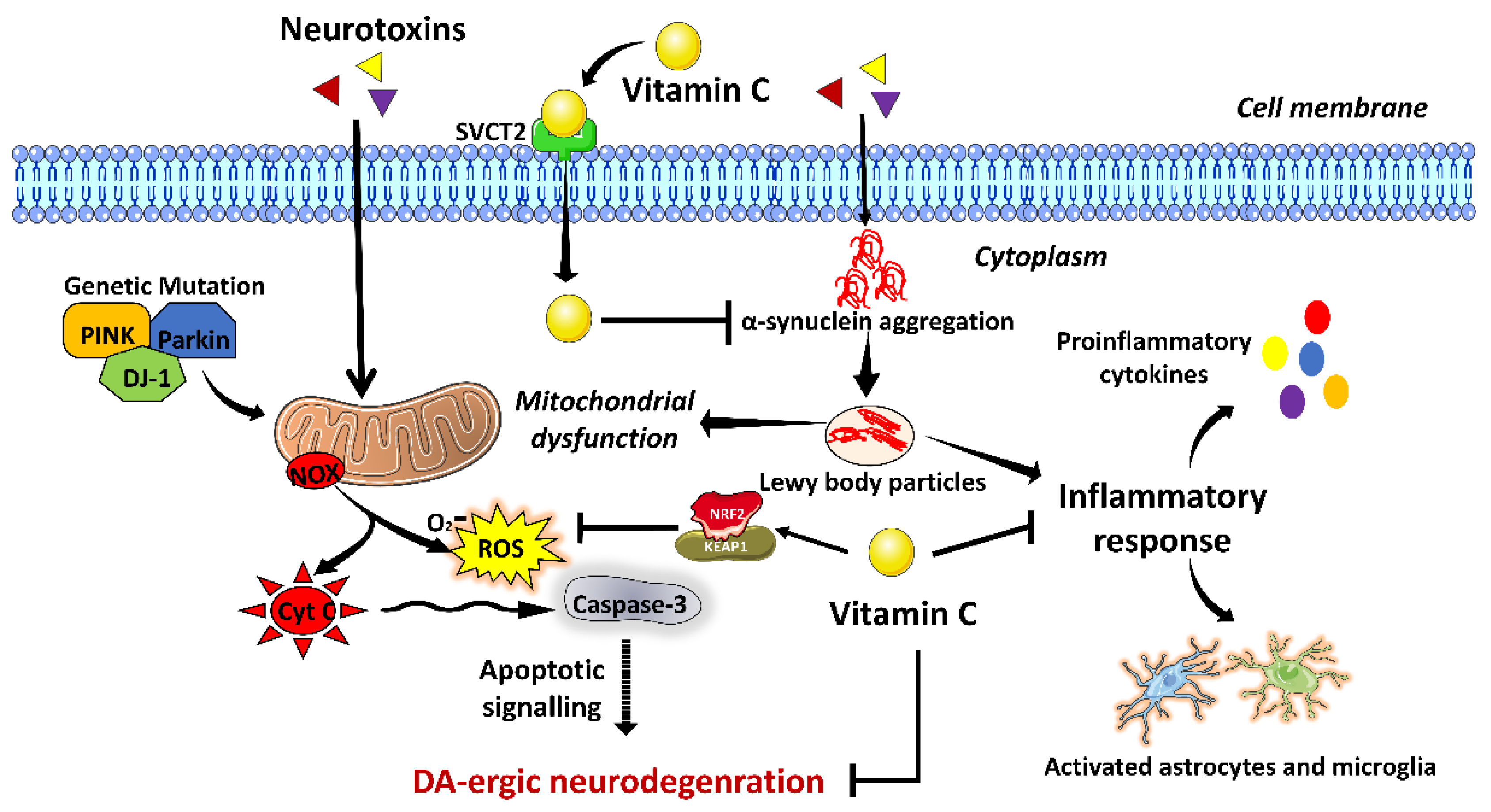 Brainsci 13 00272 g003