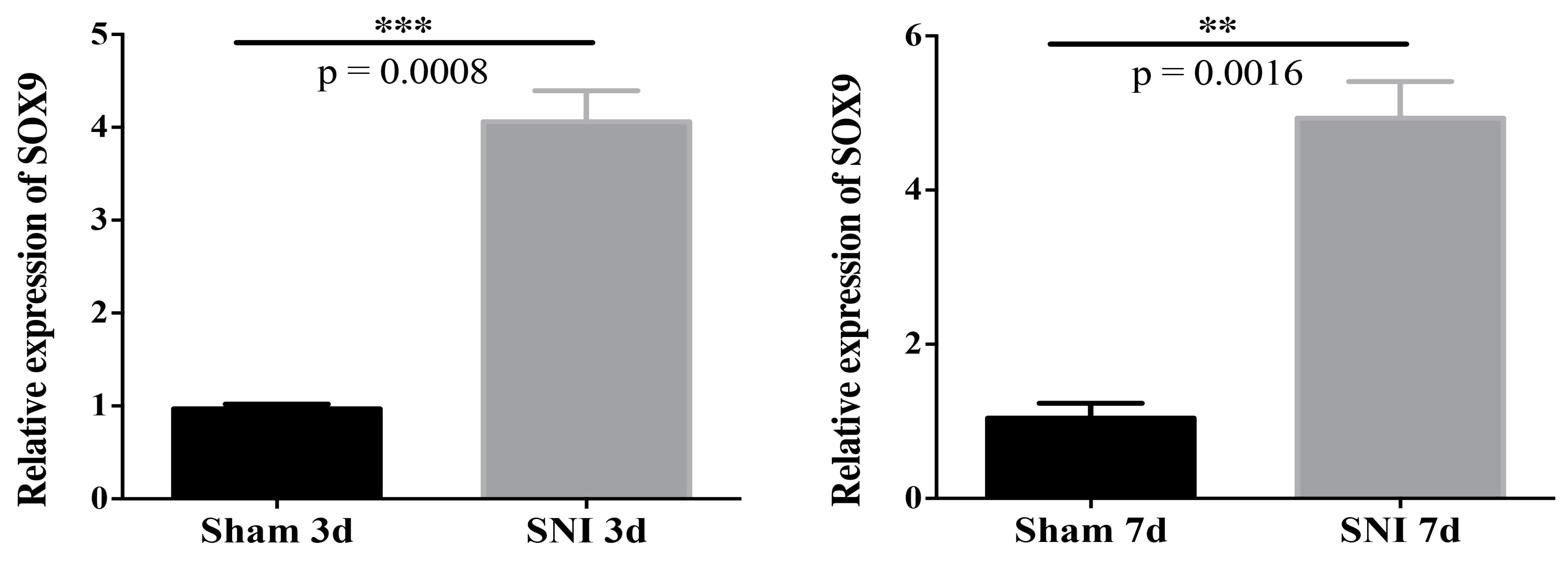 Brainsci 13 00281 g008 Brainsci 13 00281 g008