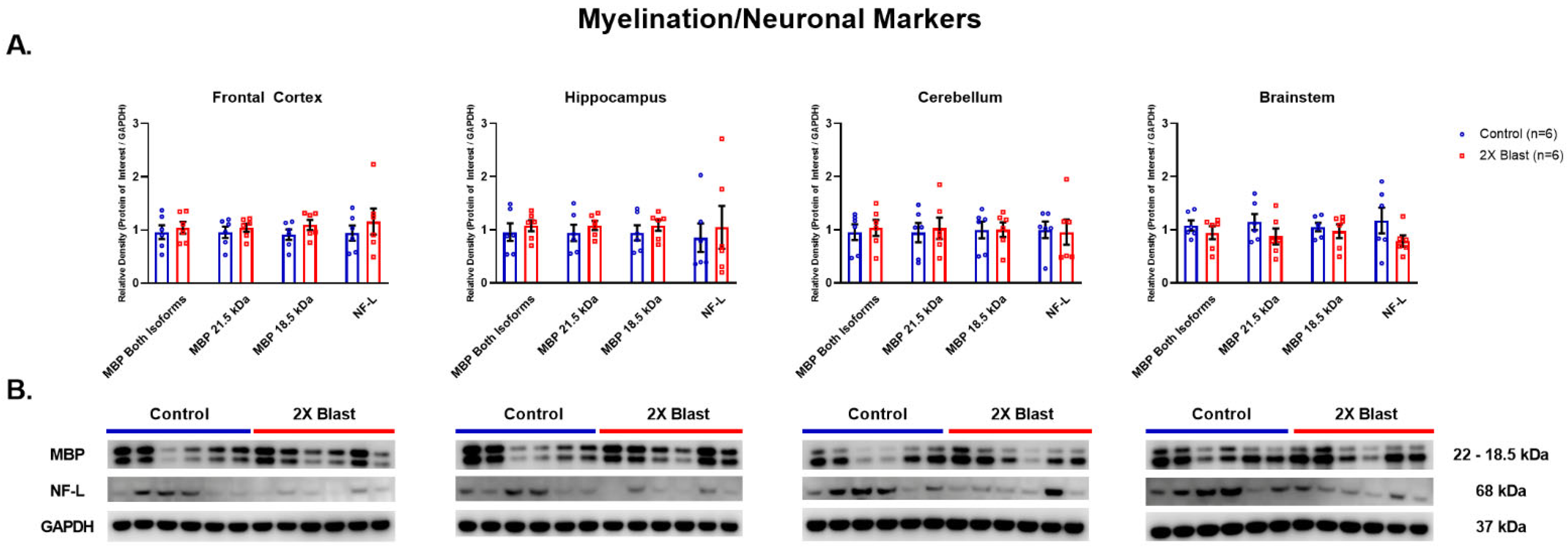 Brainsci 13 00286 g004