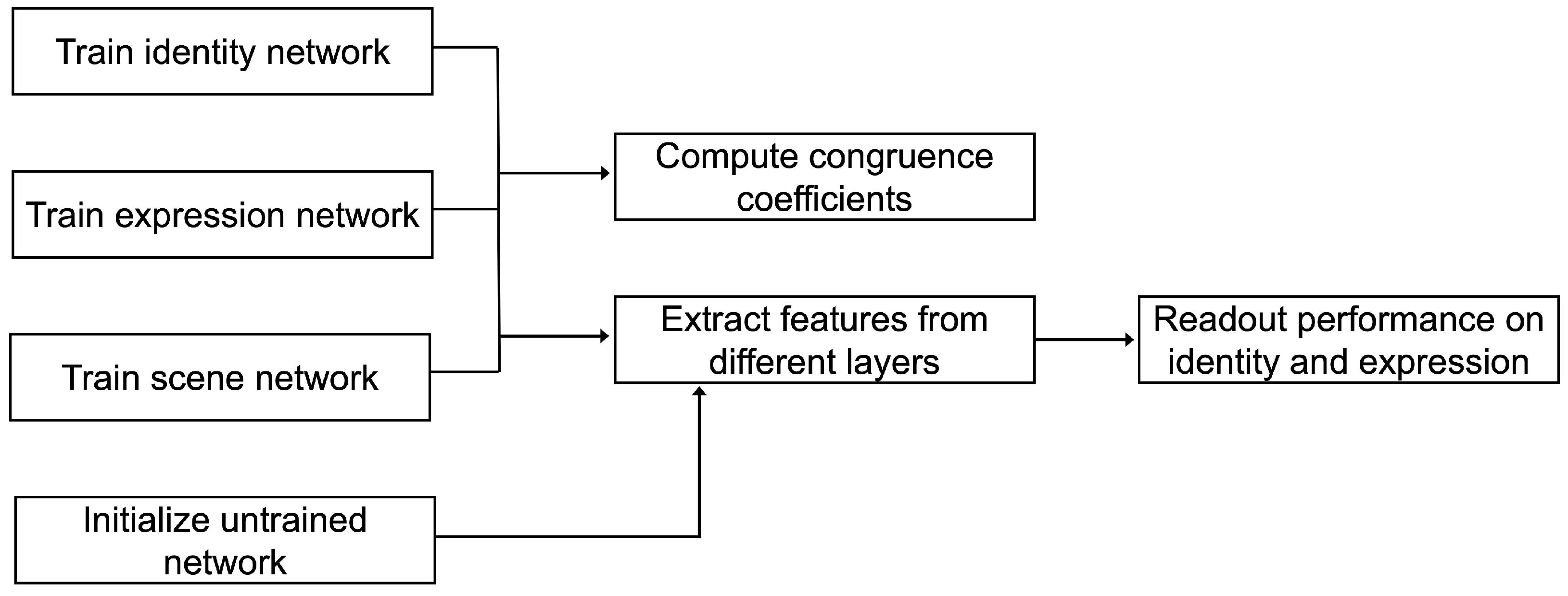 Brainsci 13 00296 g003