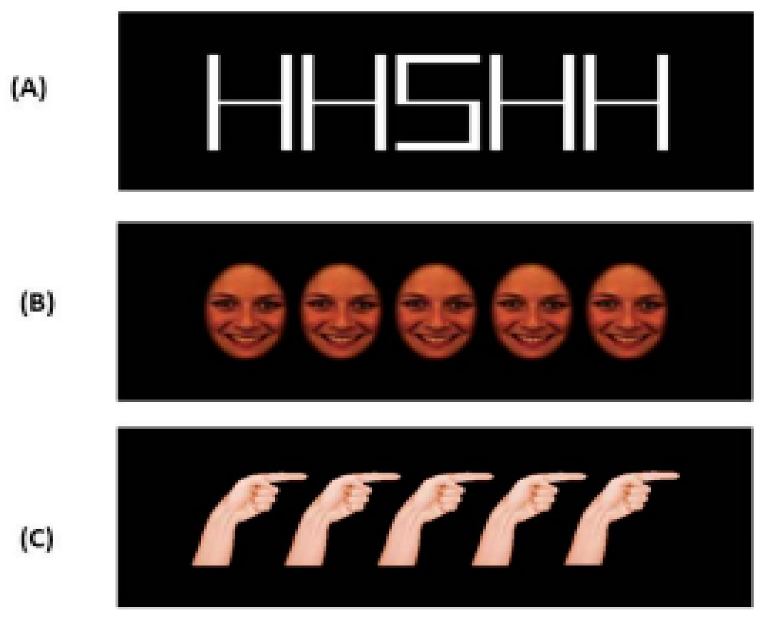 Brainsci 13 00298 g001 Brainsci 13 00298 g001