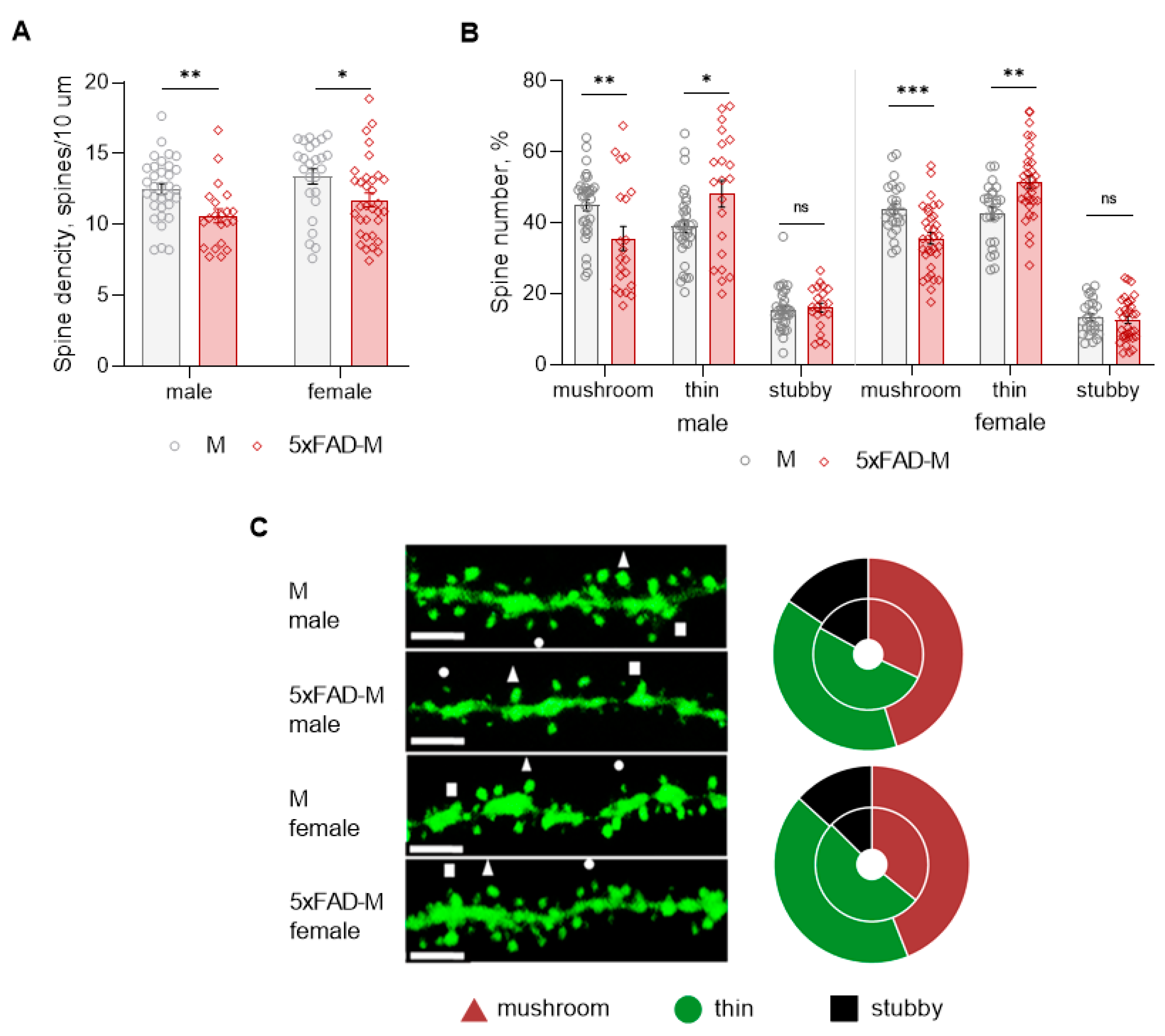 Brainsci 13 00307 g004
